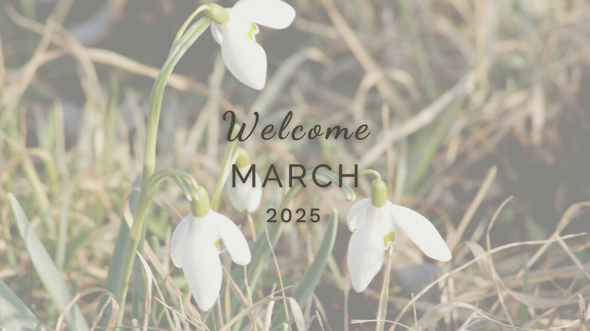 Welcome March (Almanac 2025) by Sue Cartwright, Spiral Leaf