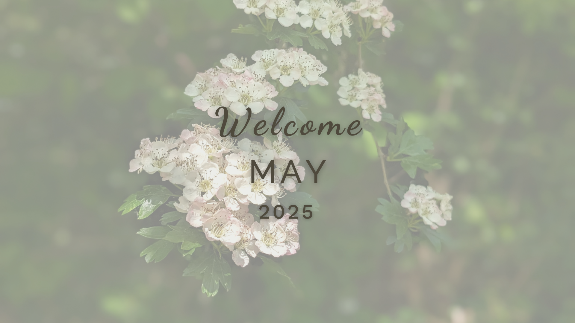 Welcome May (Almanac 2025) by Sue Cartwright, Spiral Leaf