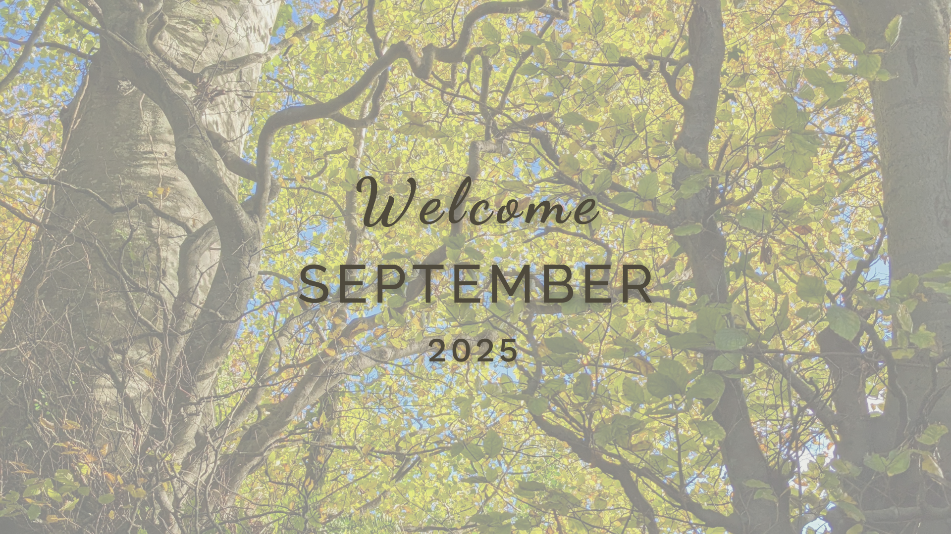 Dates and inspiration for things to see and do in September