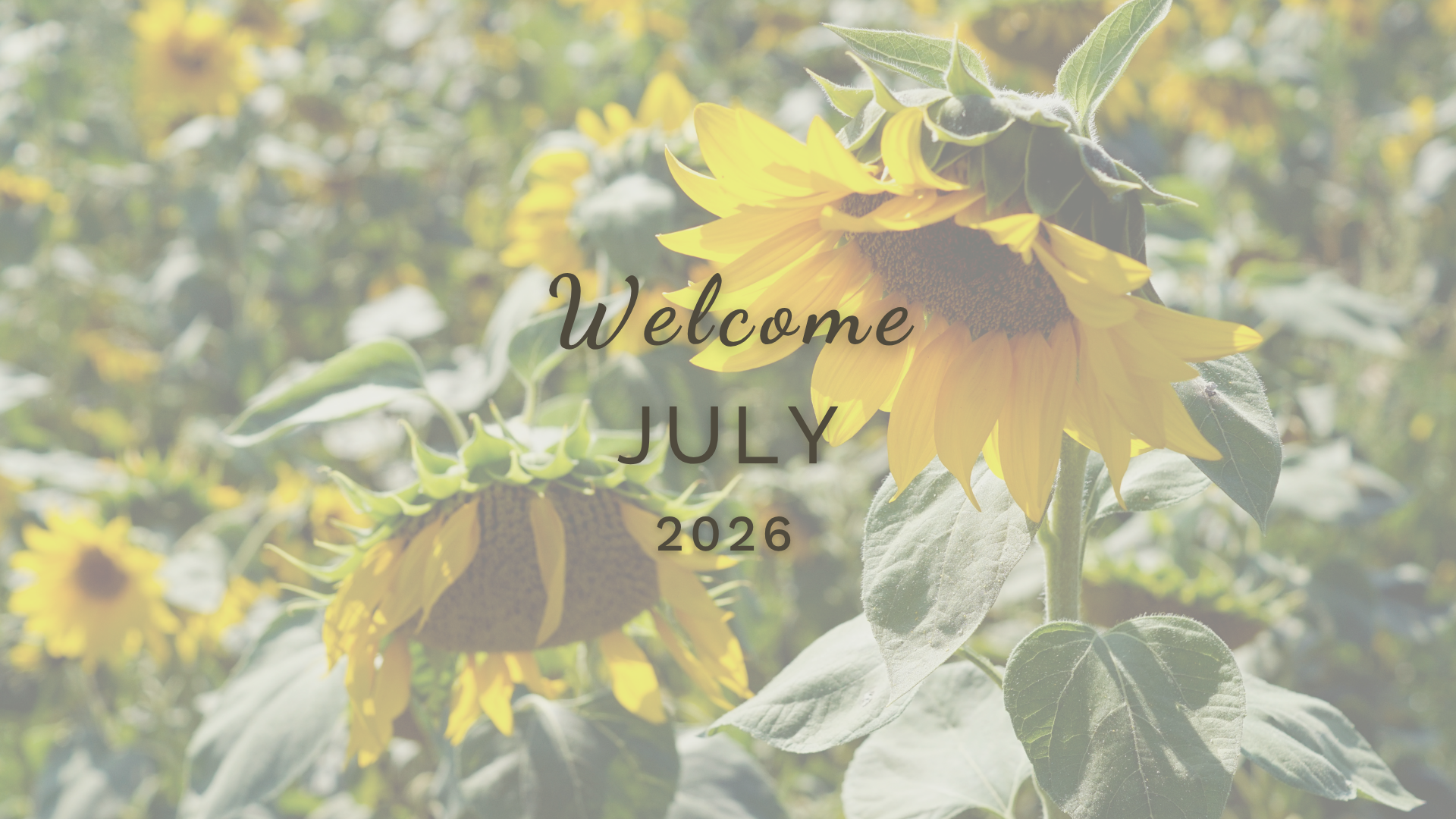 An Almanac to bring you closer to Nature in July