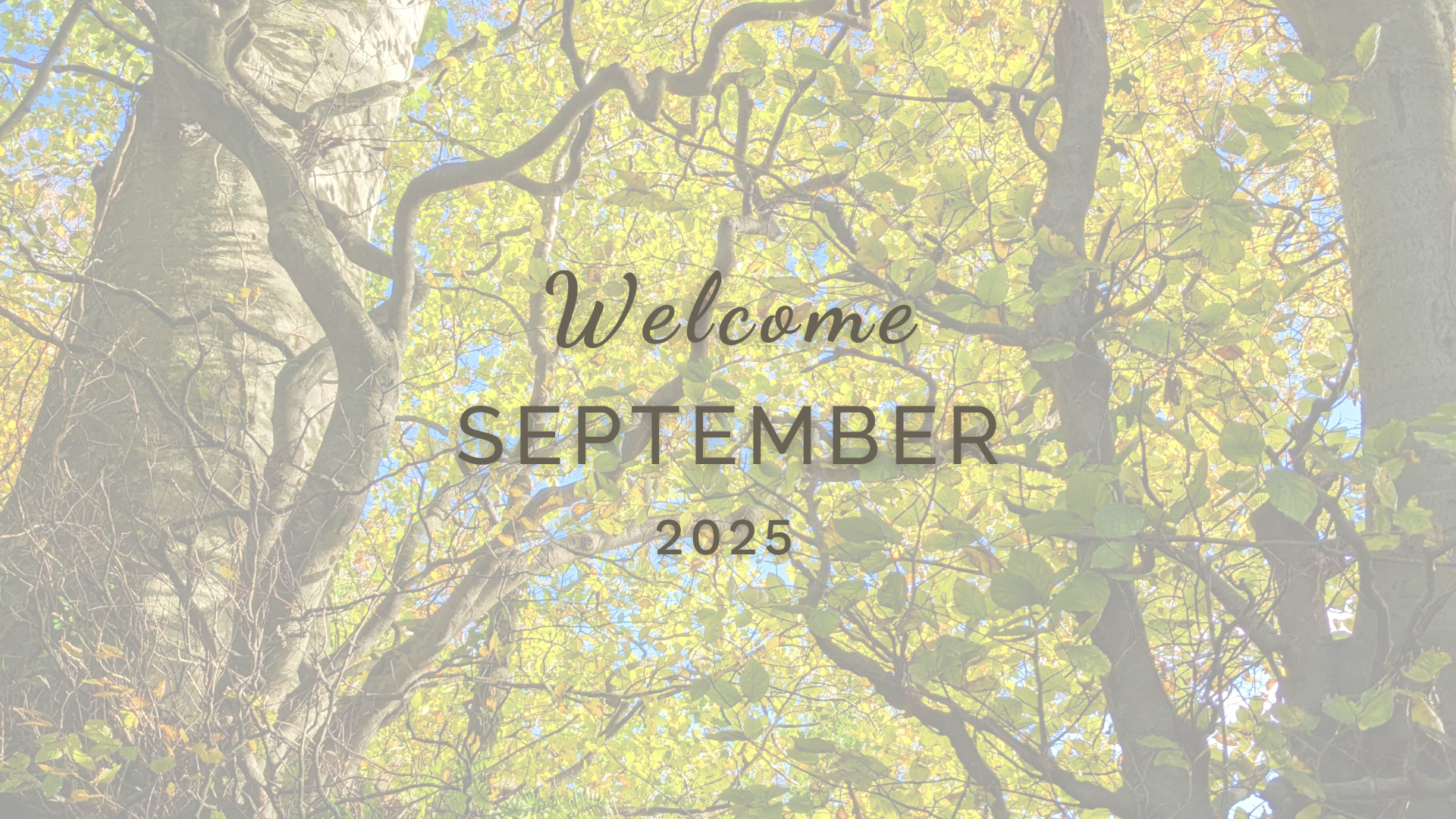 Welcome September (Almanac 2025) by Sue Cartwright, Spiral Leaf