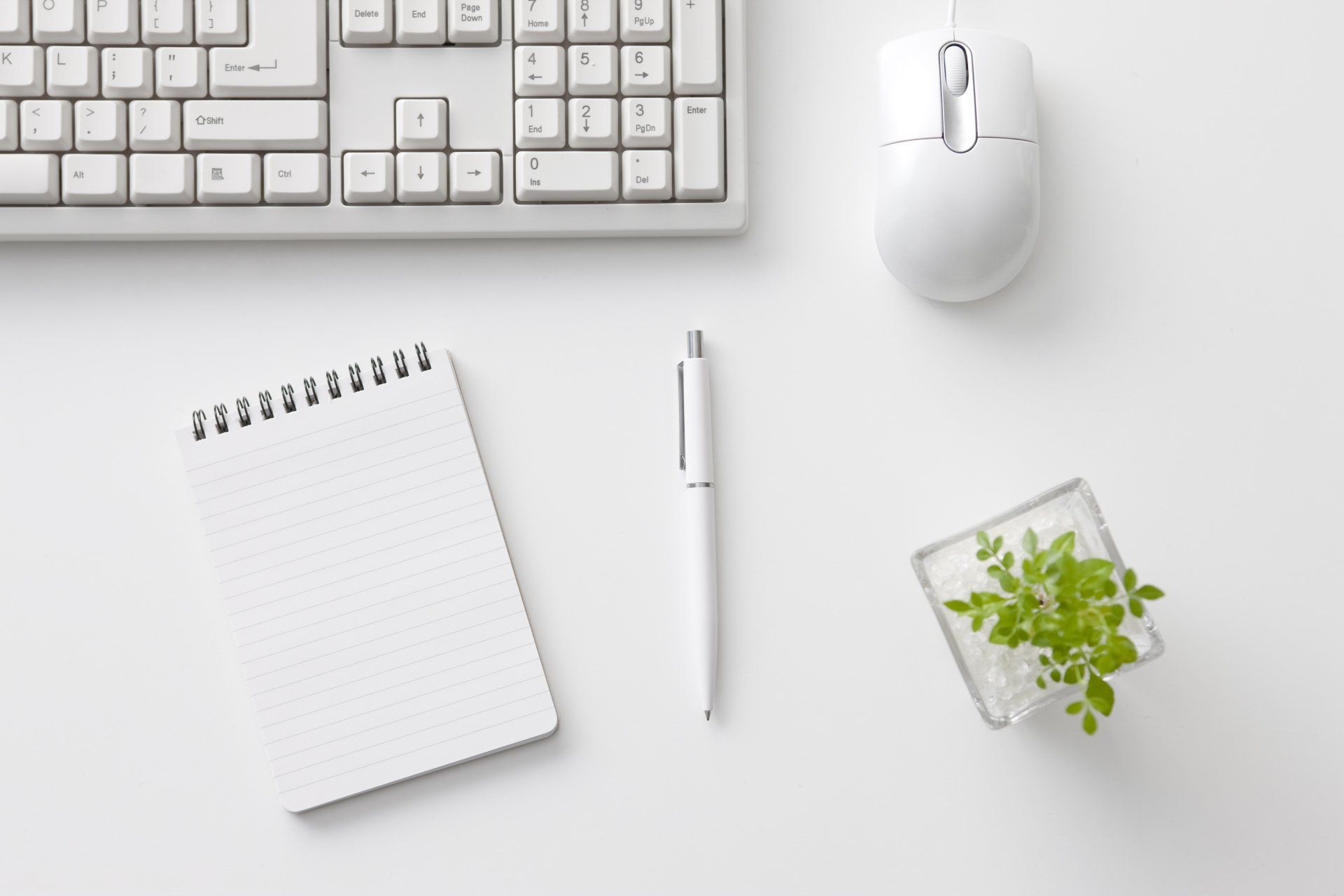 Website Design Service by Sue Cartwright, Spiral Leaf