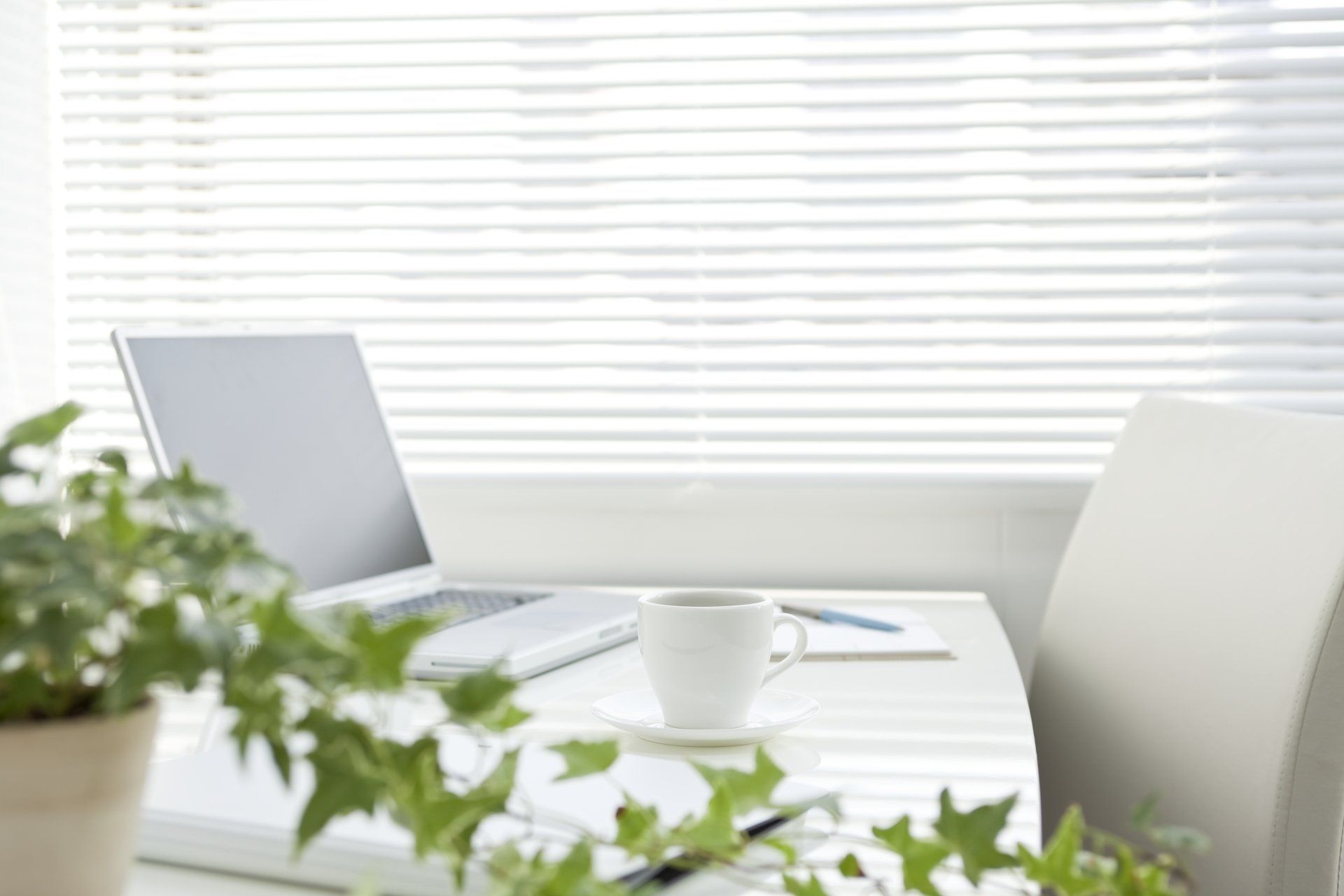 Website Design Service by Sue Cartwright, Spiral Leaf