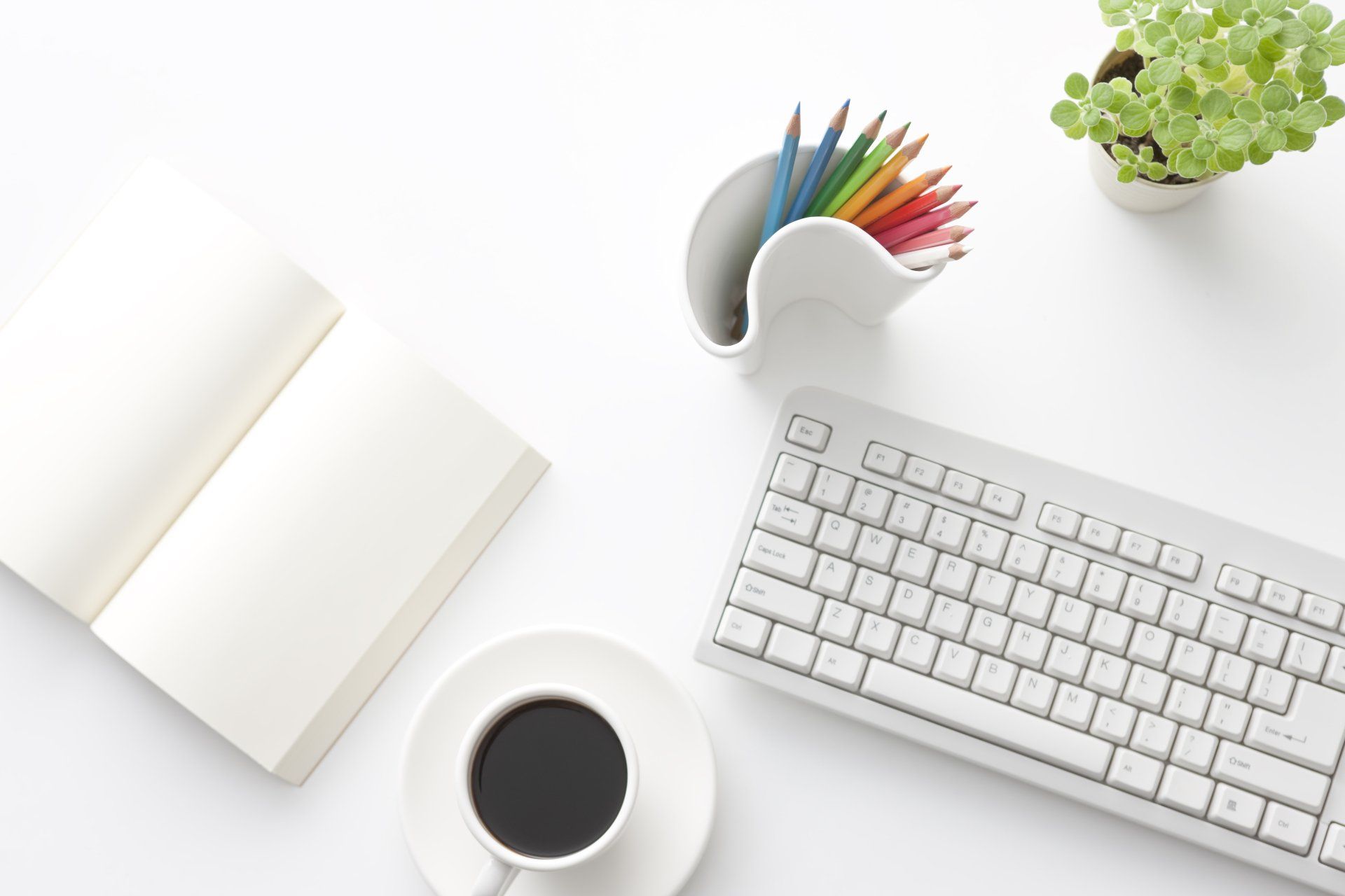 Website Design Service by Sue Cartwright, Spiral Leaf