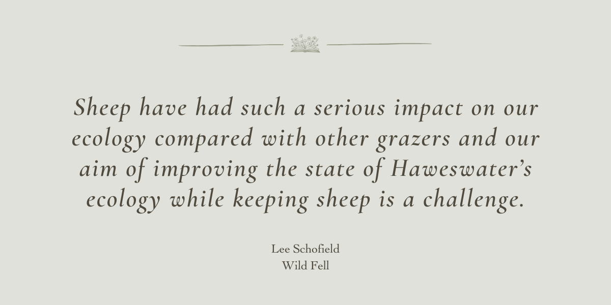 Wild Fell by Lee Schofield - A book review by Sue Cartwright, Spiral Leaf