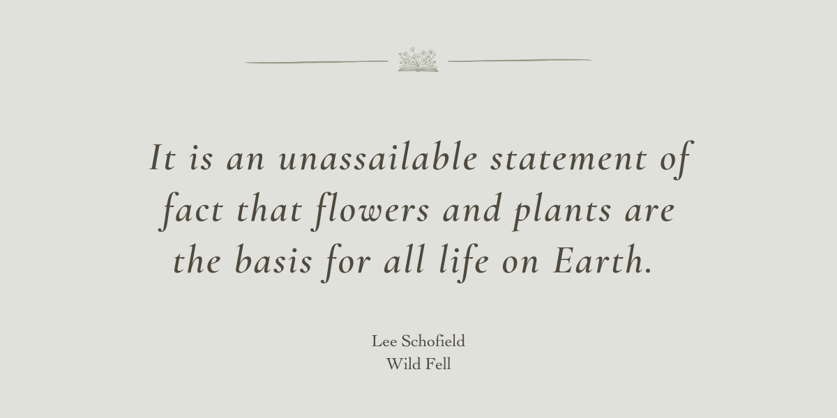 Wild Fell by Lee Schofield - A book review by Sue Cartwright, Spiral Leaf