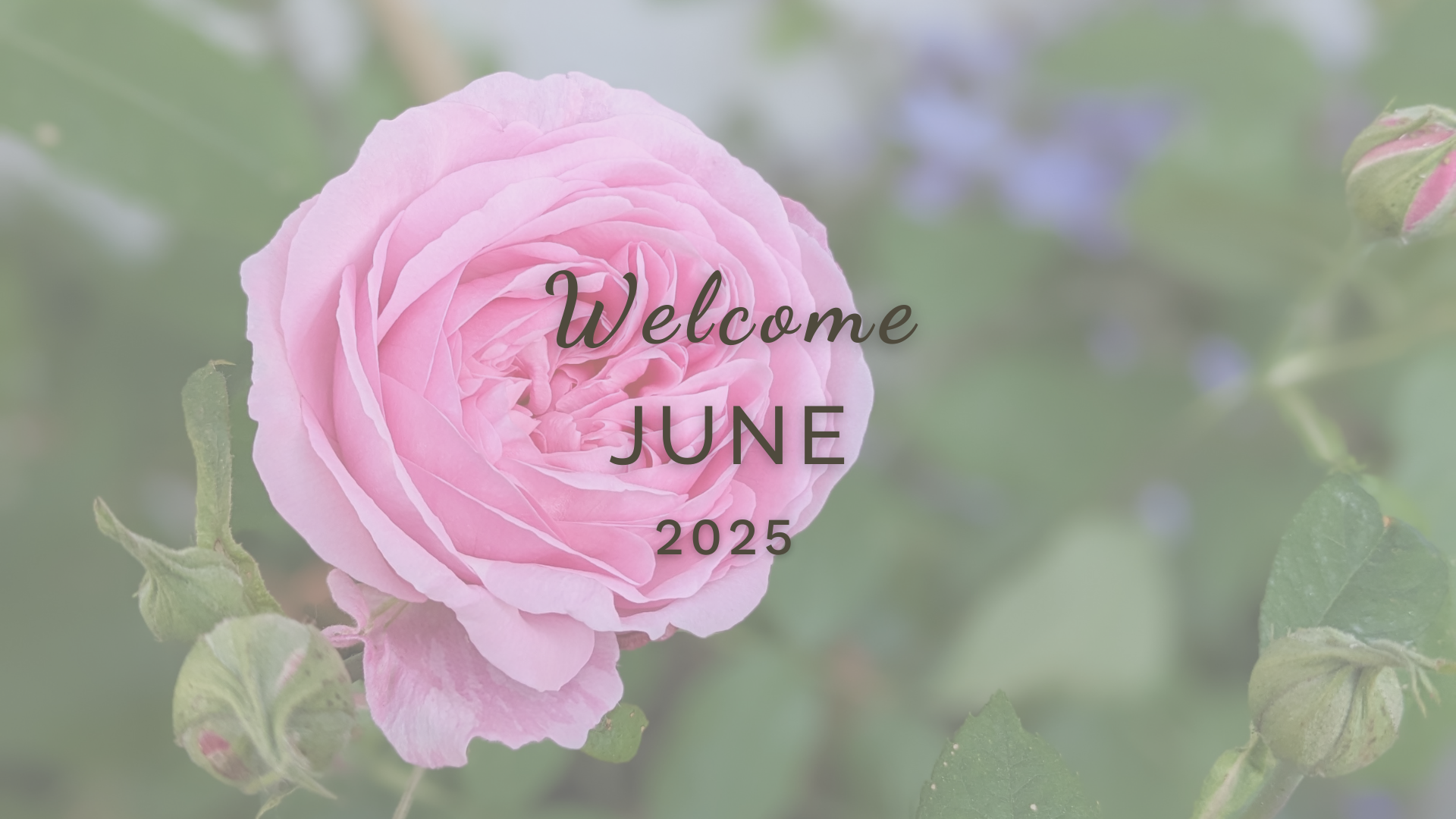 Welcome June (Almanac 2025) by Sue Cartwright, Spiral Leaf