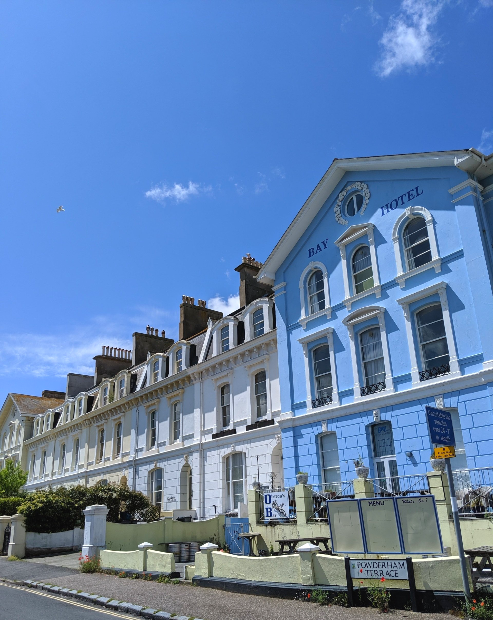 Seaside Gallery - Photograph by Sue Cartwright, Spiral Leaf