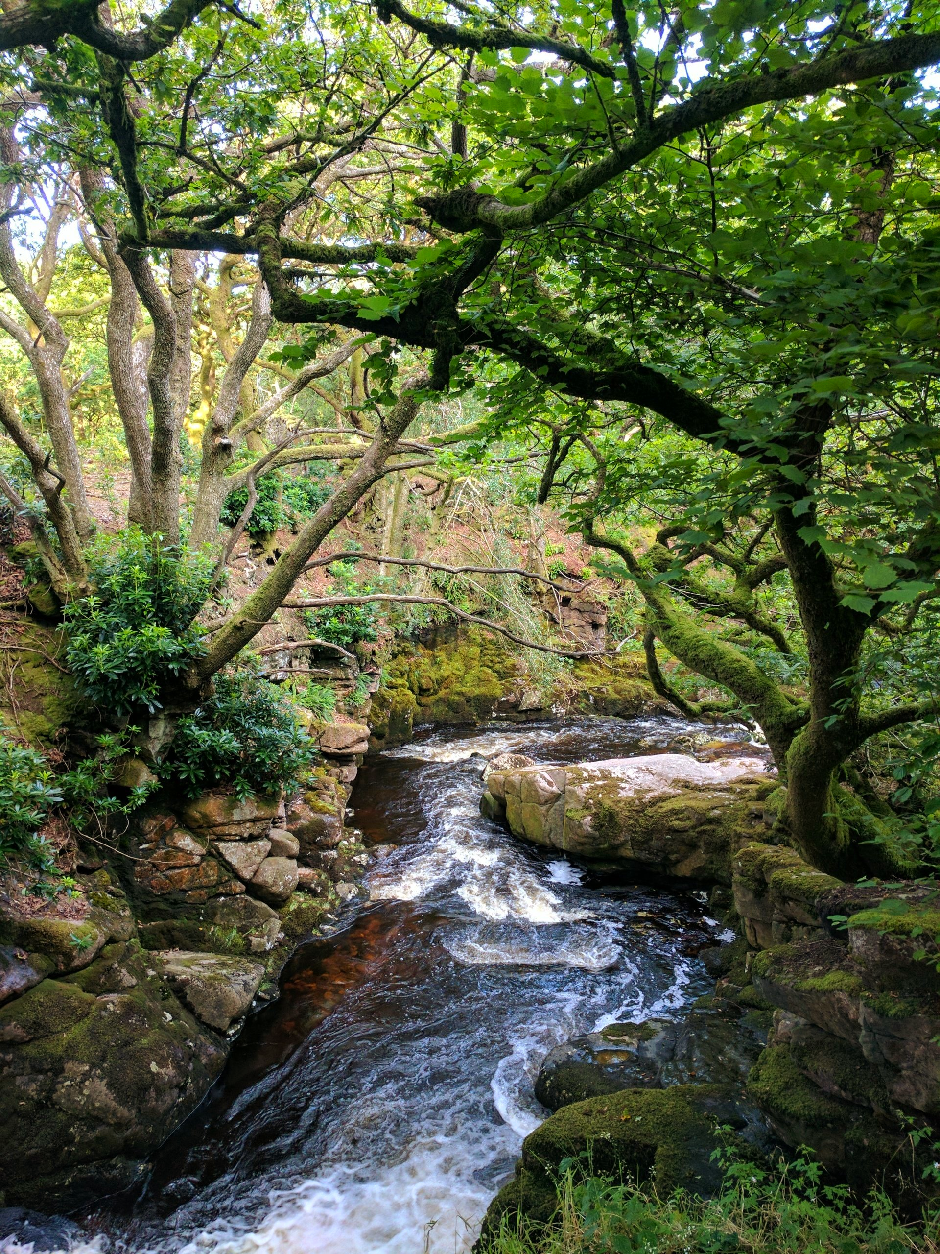 Riverside Gallery - Photograph by Sue Cartwright, Spiral Leaf