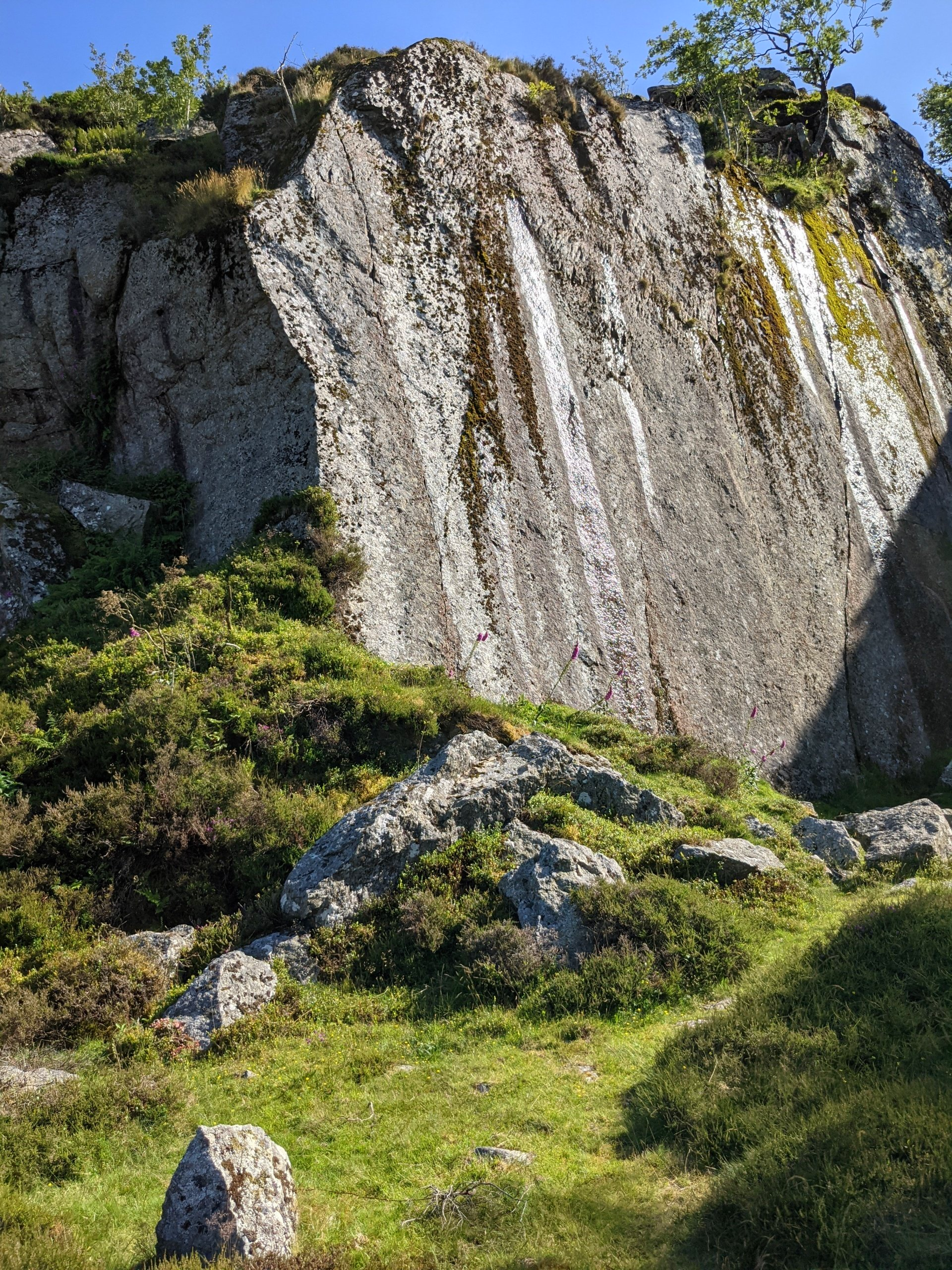 Moorland Gallery - Photograph by Sue Cartwright, Spiral Leaf