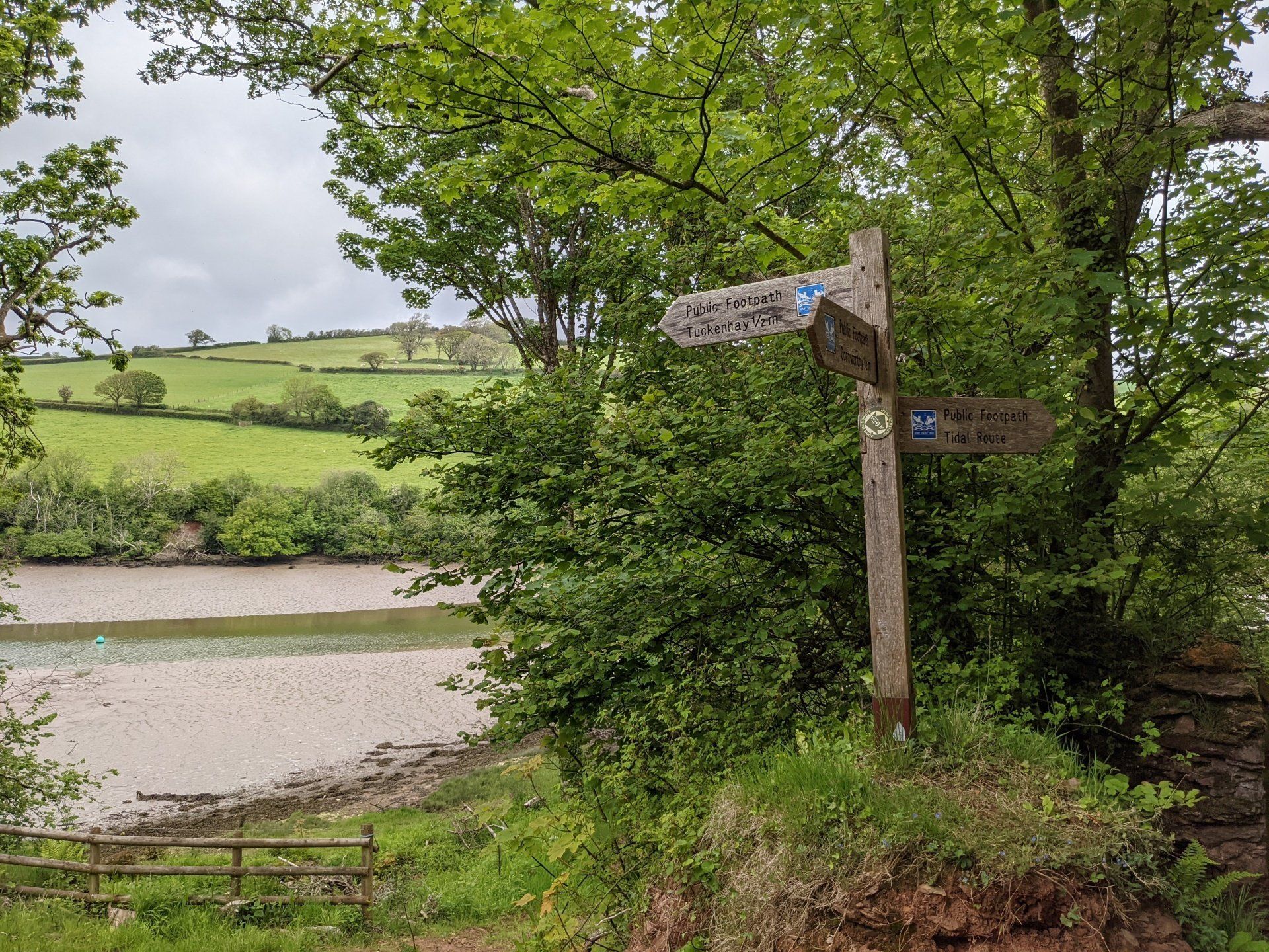 Where To Find Nature by Sue Cartwright, Spiral Leaf