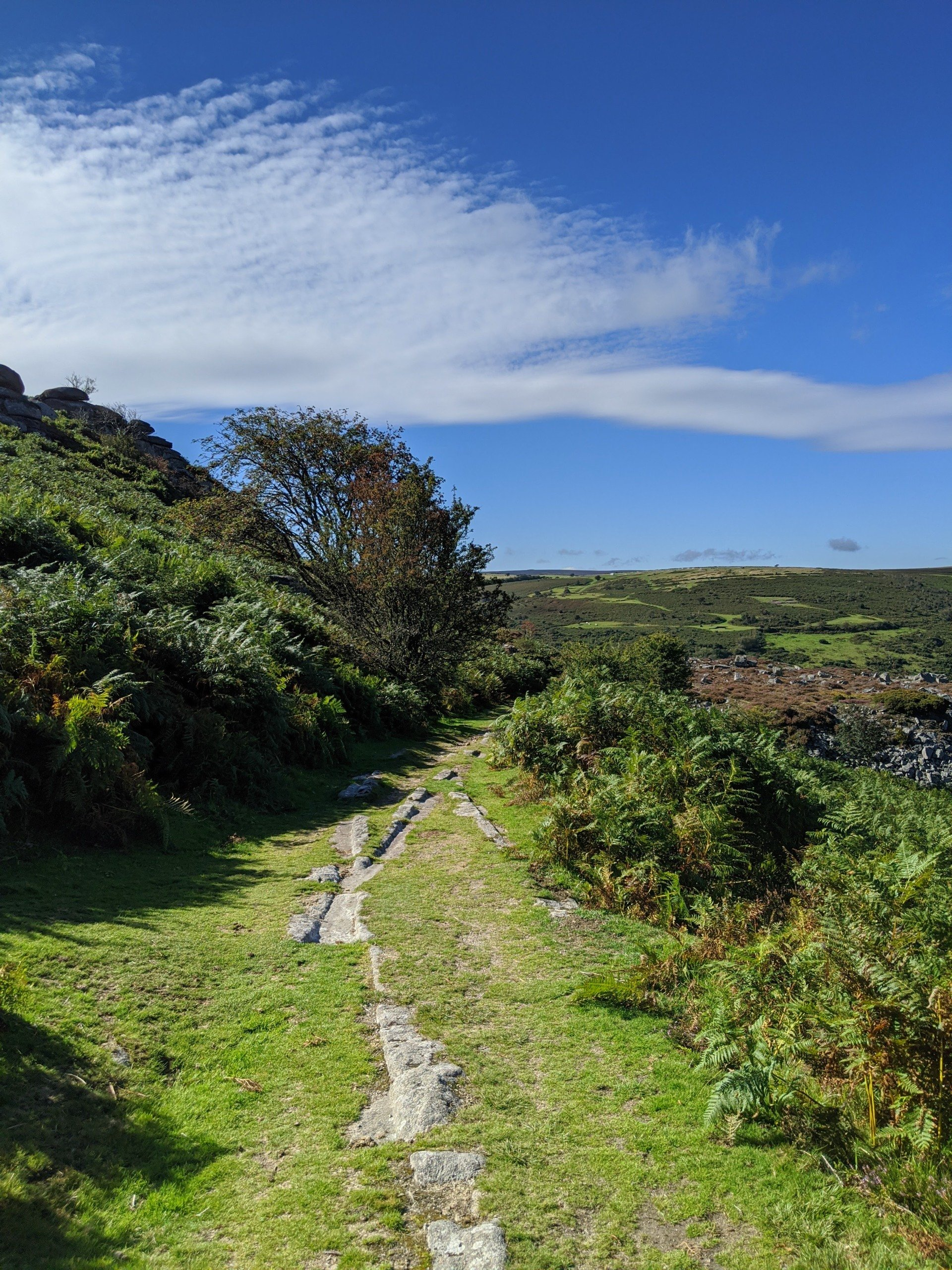 Moorland Gallery - Photograph by Sue Cartwright, Spiral Leaf