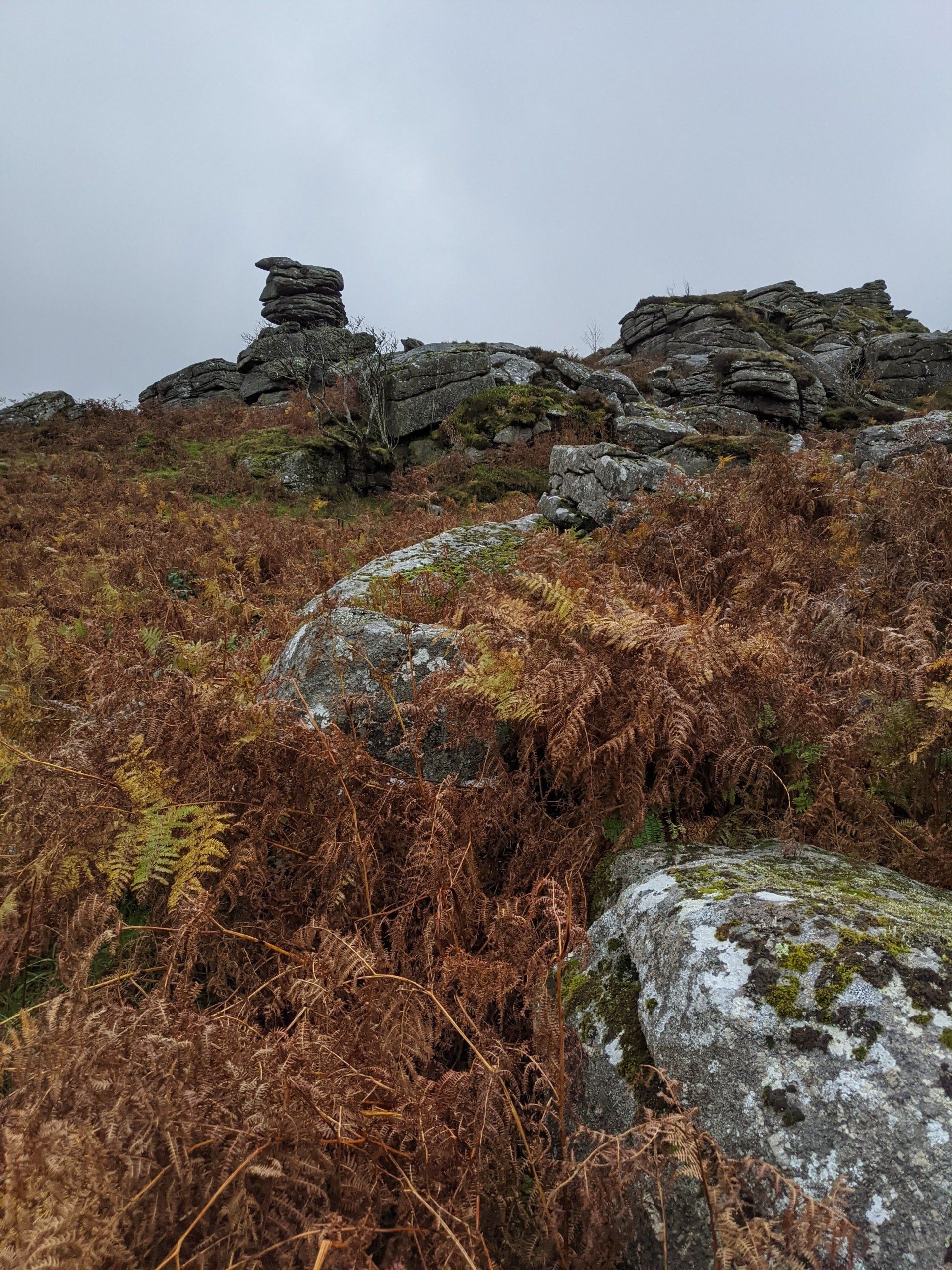Moorland Gallery - Photograph by Sue Cartwright, Spiral Leaf