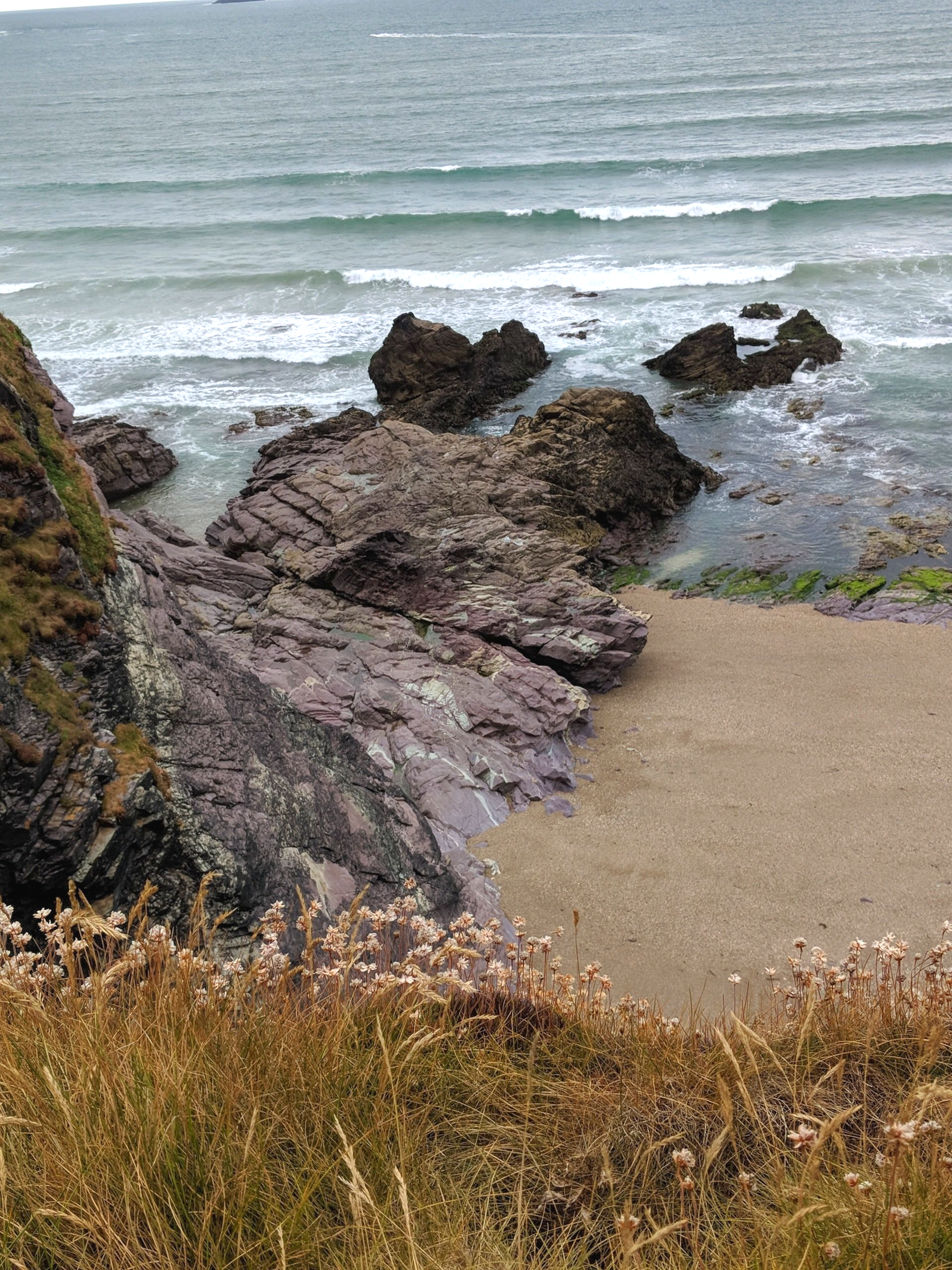 Seaside Gallery - Photograph by Sue Cartwright, Spiral Leaf