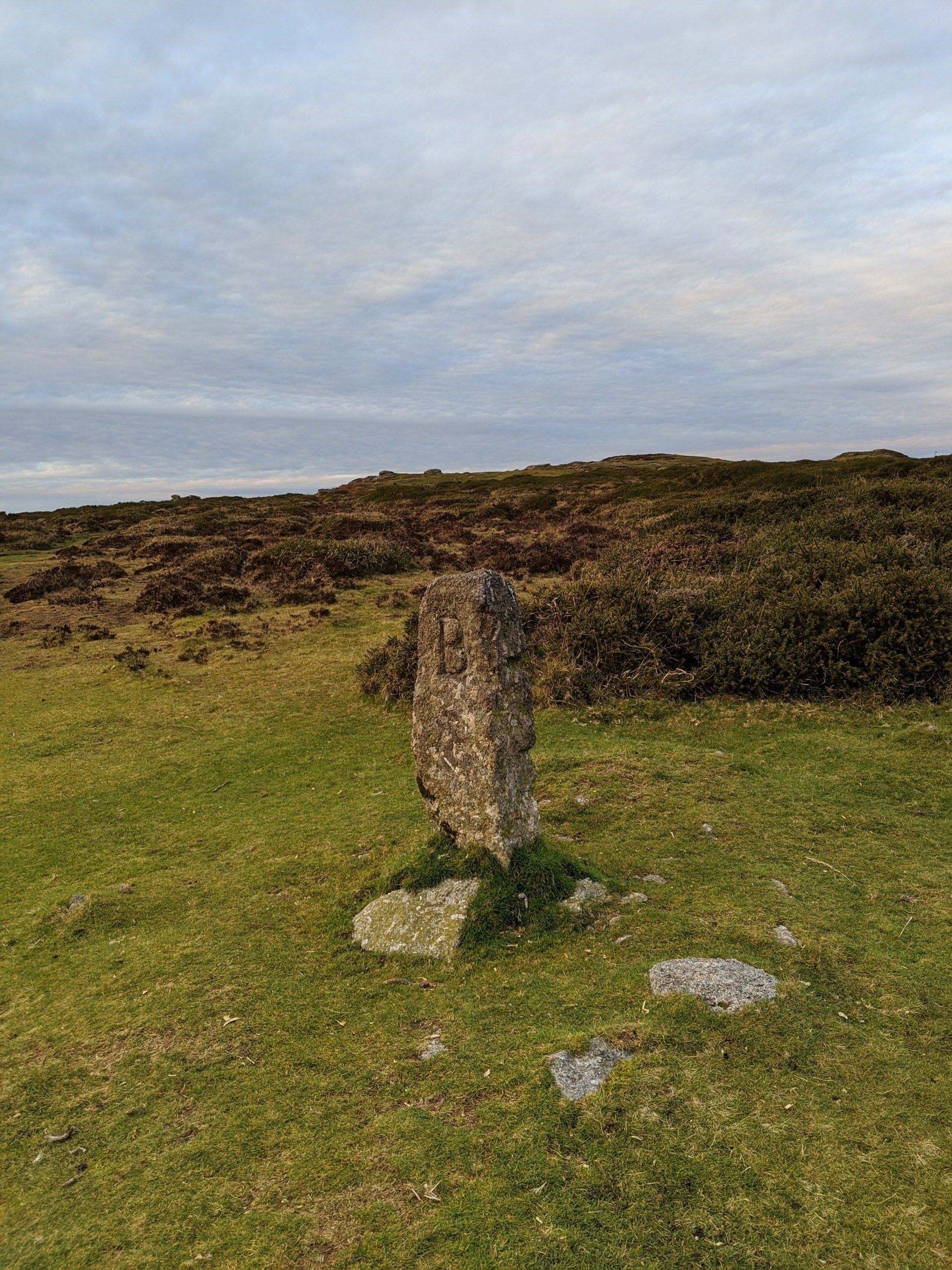 Moorland Gallery - Photograph by Sue Cartwright, Spiral Leaf