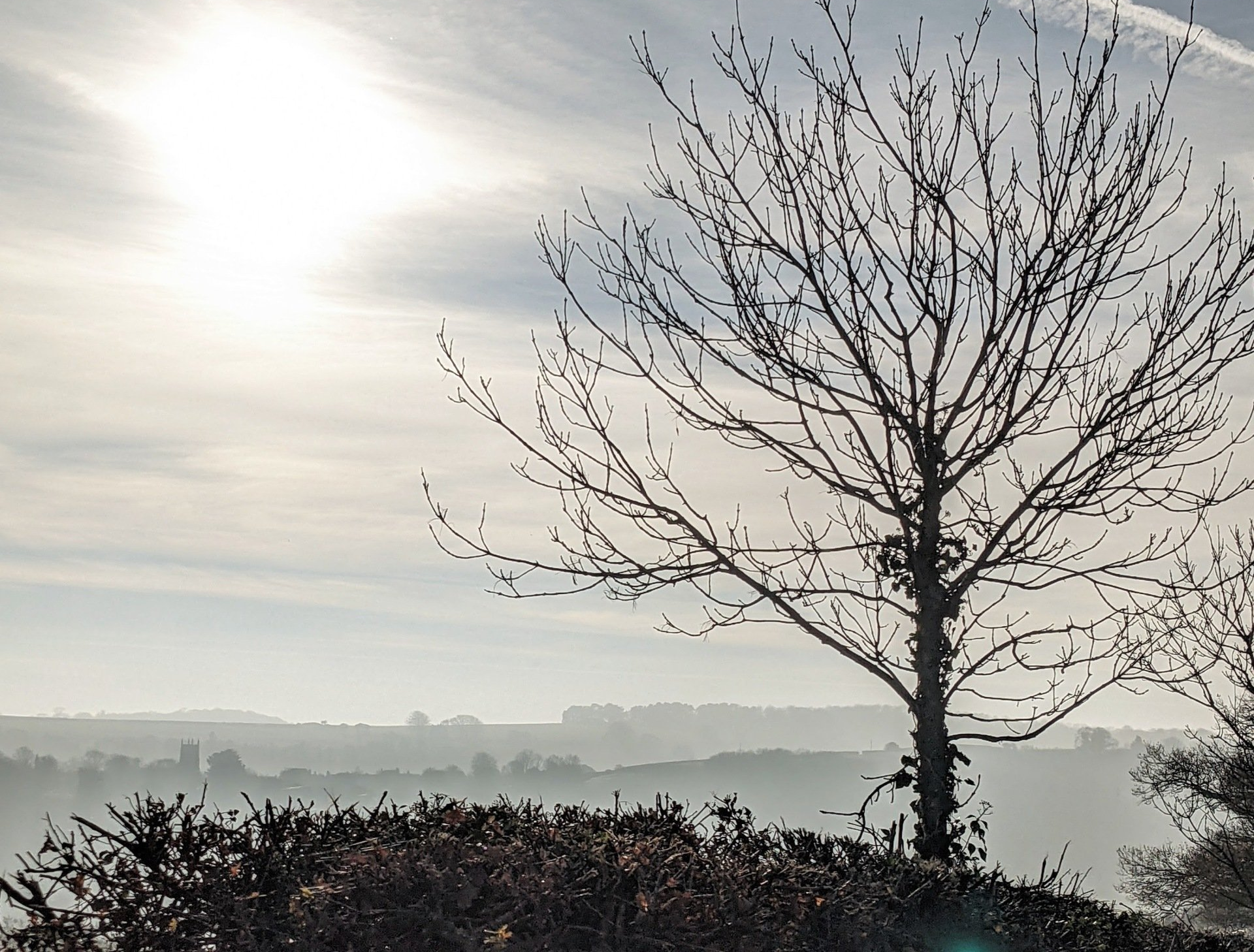 Things to do in Nature in February