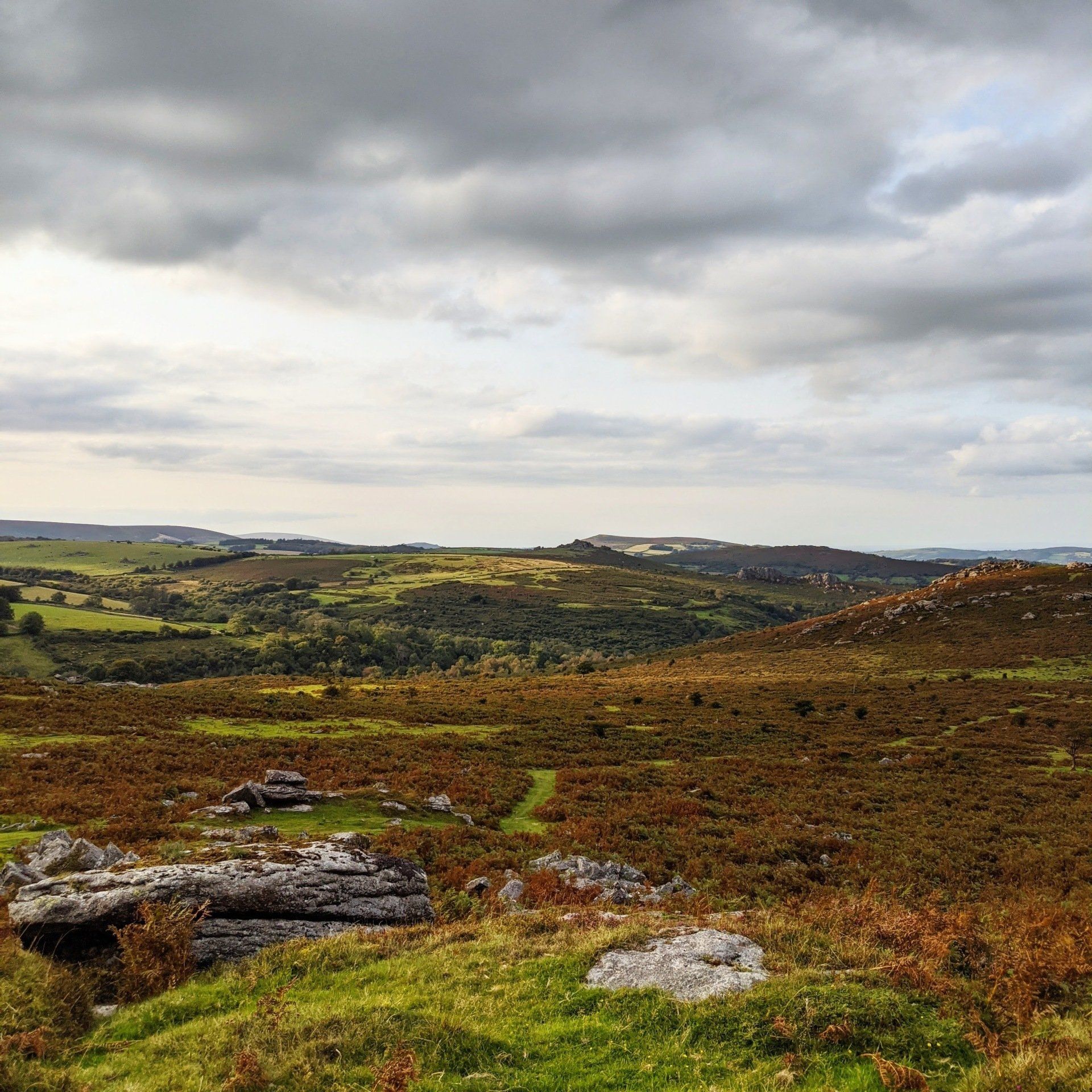 Moorland Gallery - Photograph by Sue Cartwright, Spiral Leaf