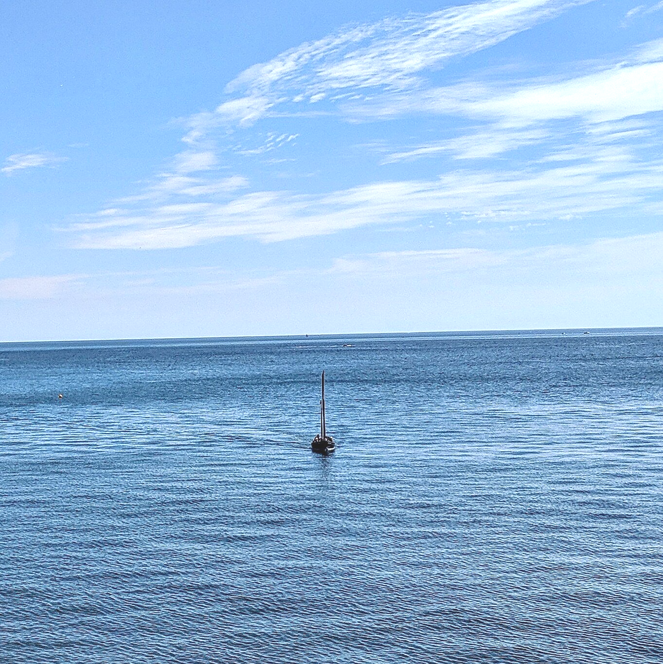 Seaside Gallery - Photograph by Sue Cartwright, Spiral Leaf