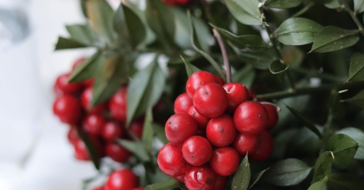 Welcome April - A Poem by Sue Cartwright, Spiral Leaf