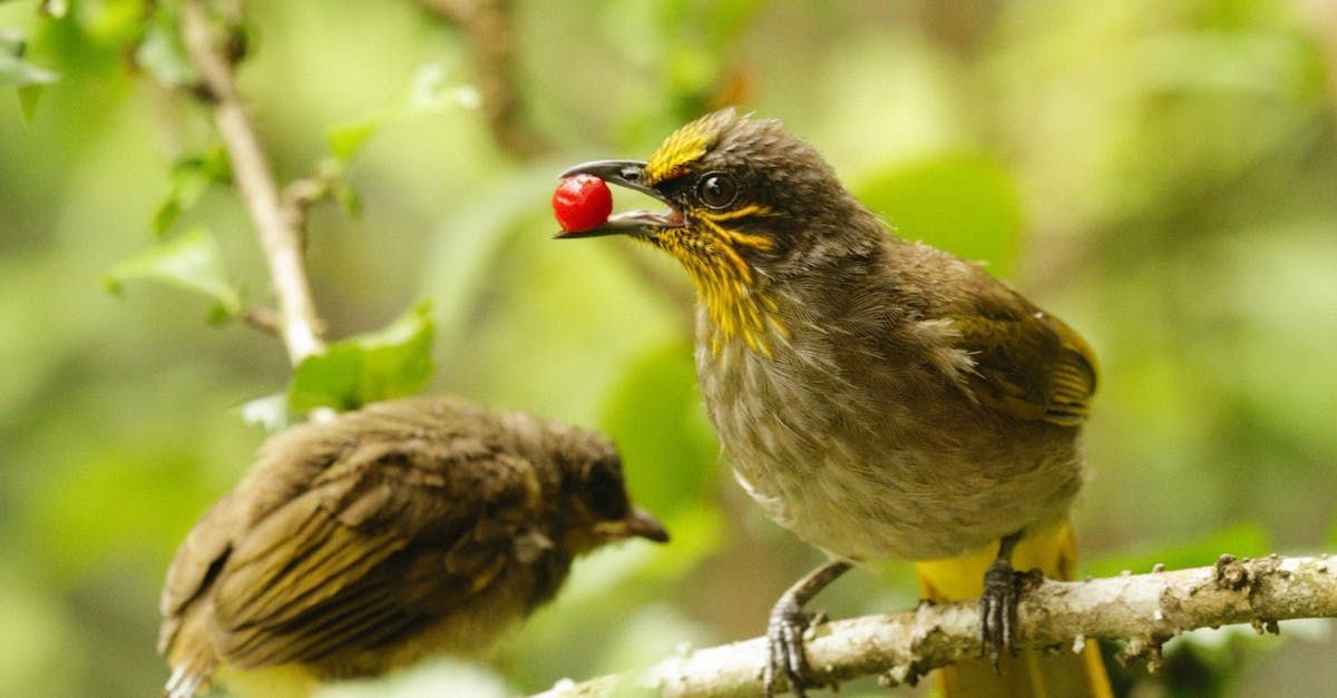 Welcome September - A Poem by Sue Cartwright, Spiral Leaf