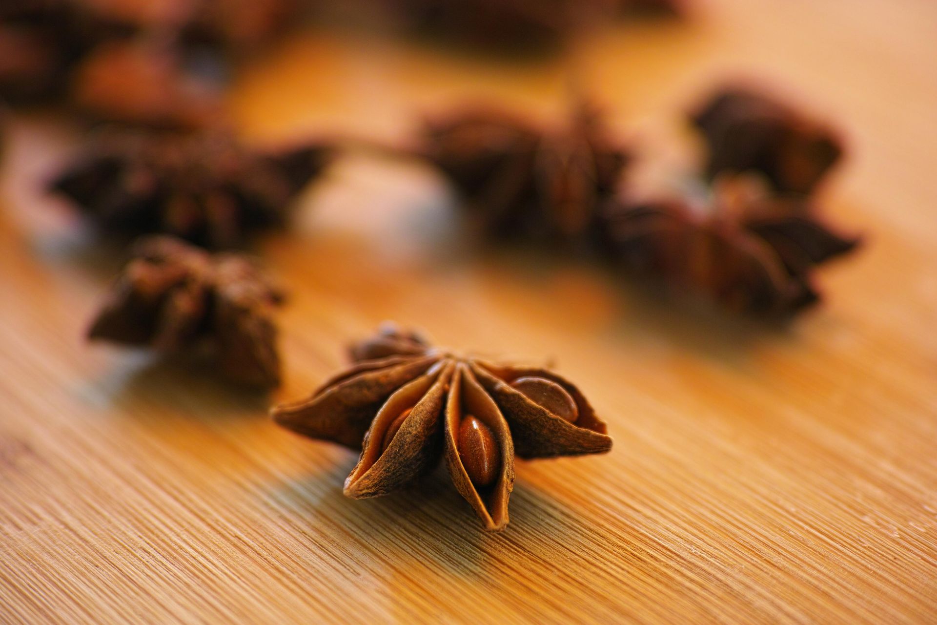 A Healing Spice (Star Anise) by Sue Cartwright, Spiral Leaf