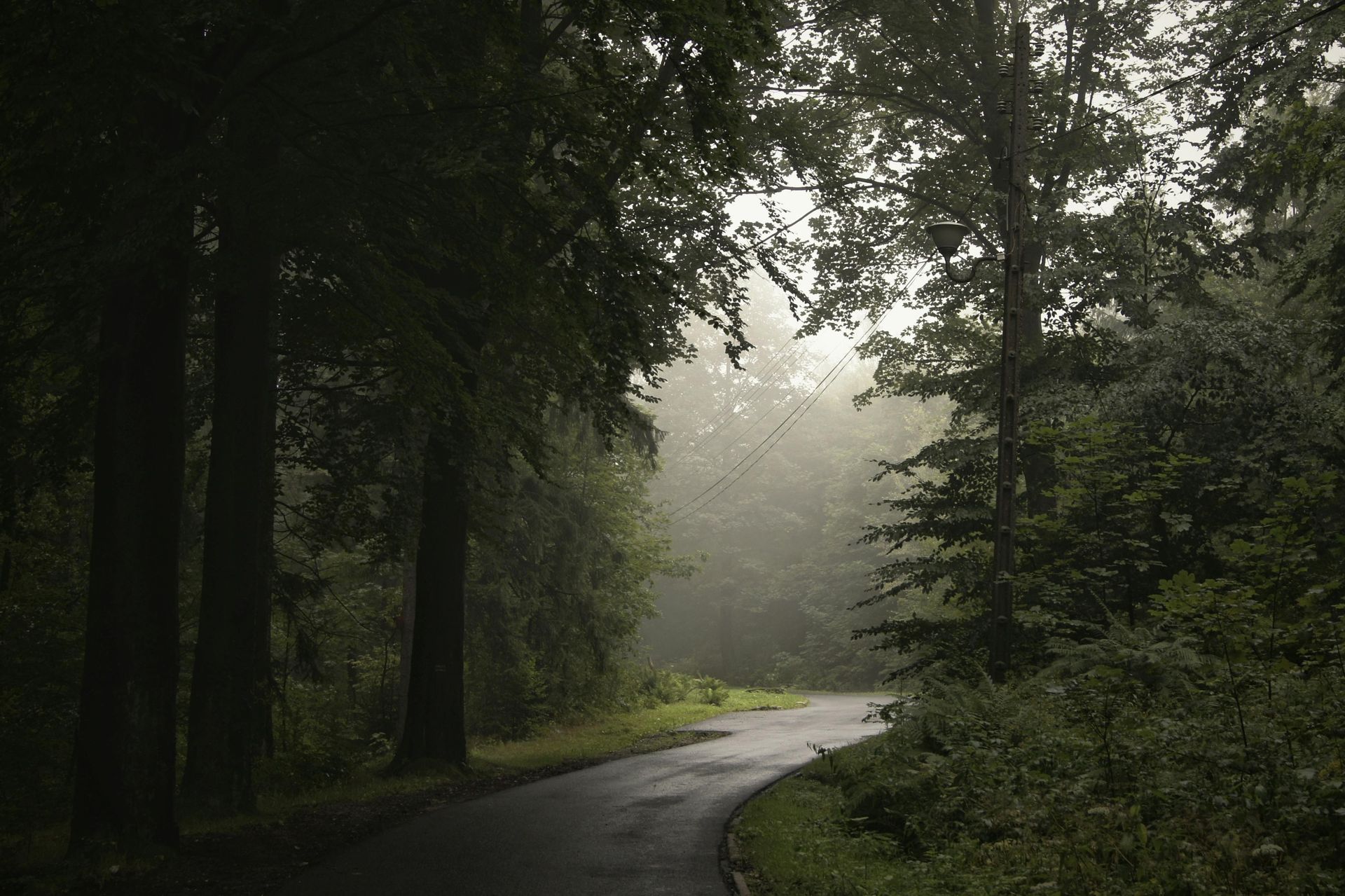 Welcome November (Almanac 2024) by Sue Cartwright, Spiral Leaf