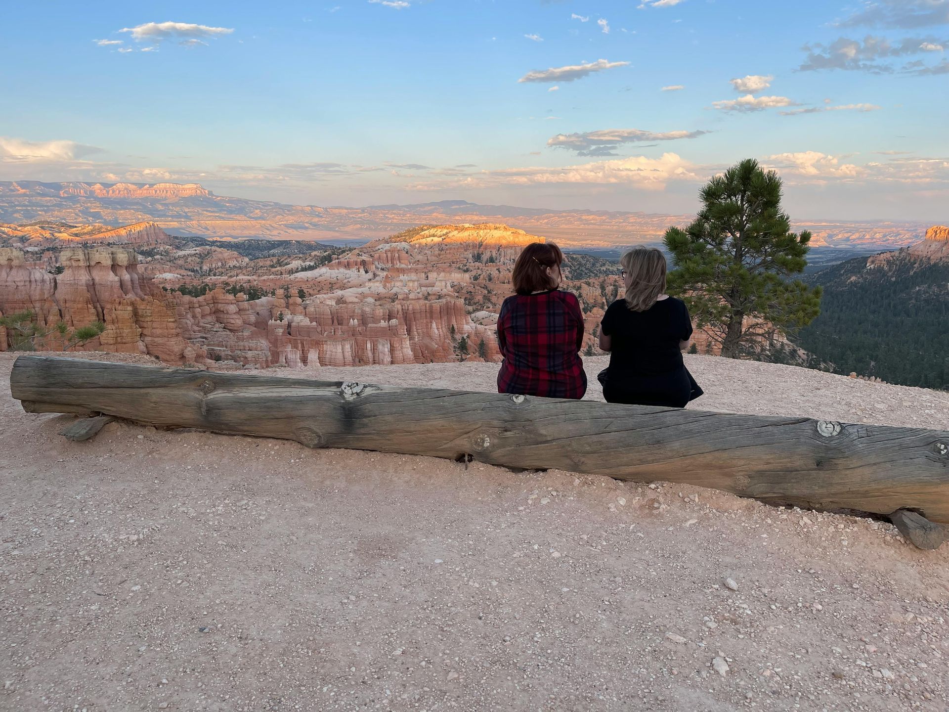 Nature's Way - A Poem by Sue Cartwright, Spiral Leaf