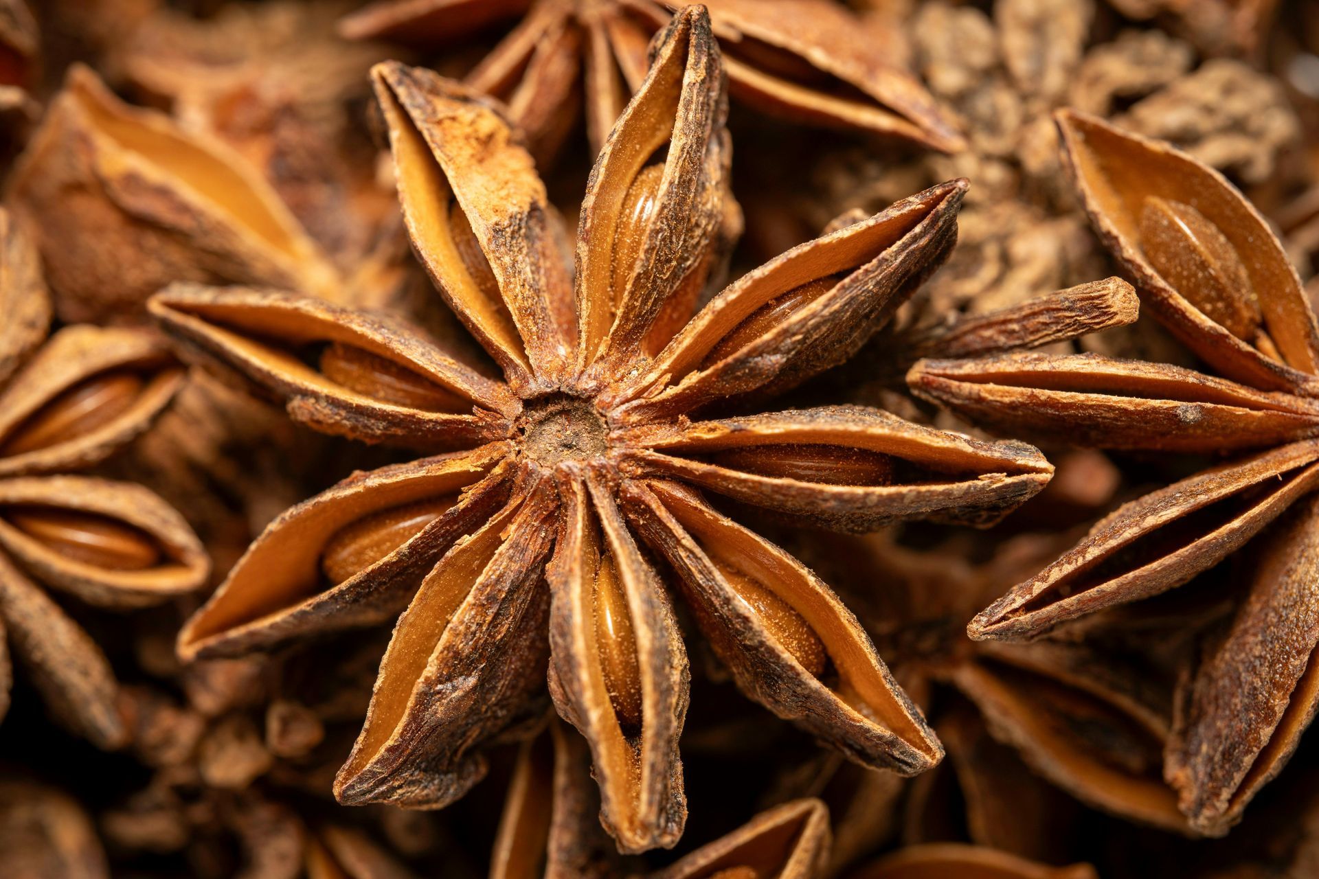 A post about the healing benefits of Star Anise spice