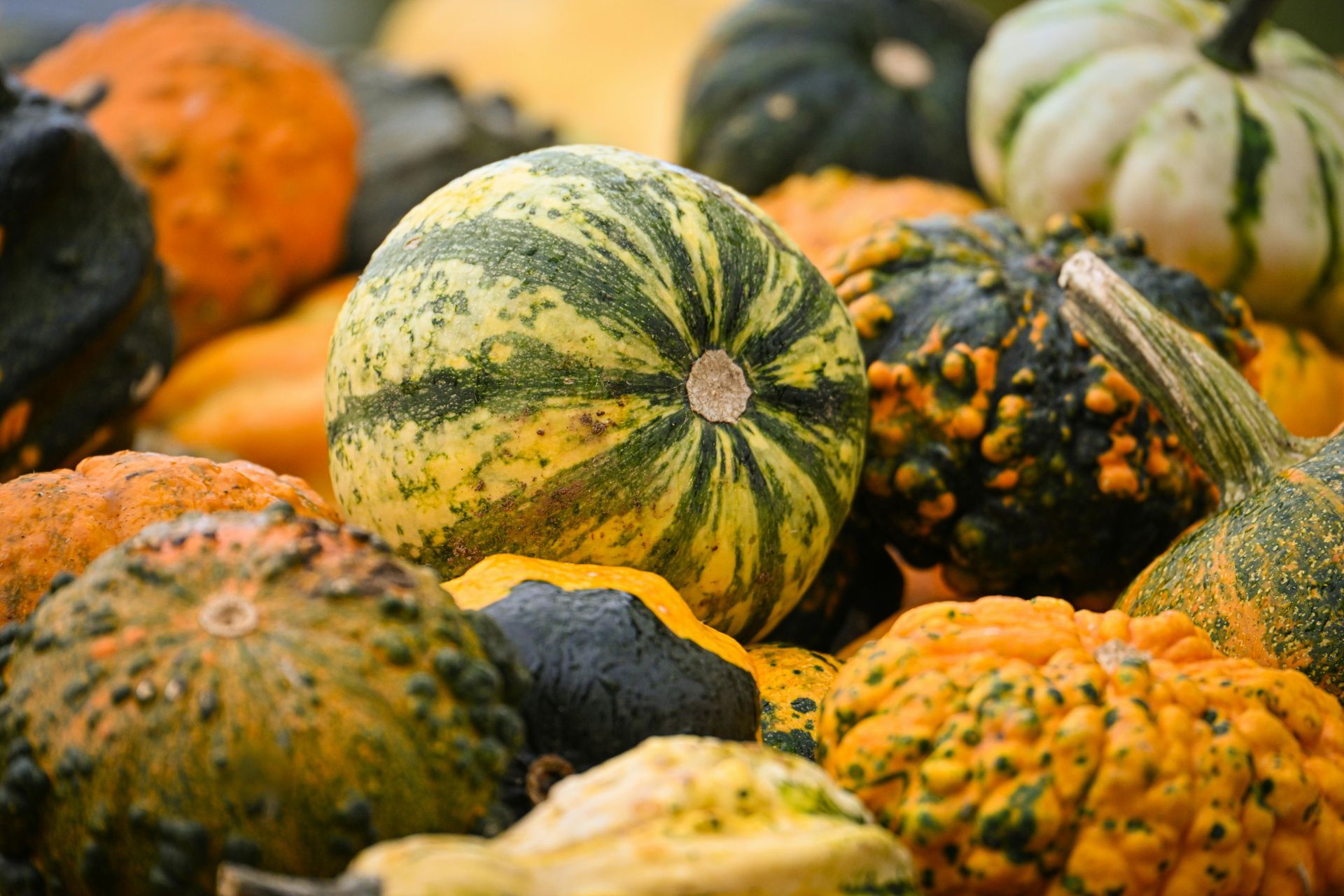 Welcome October (Almanac 2025) by Sue Cartwright, Spiral Leaf Welcome October (Almanac 2025) by Sue Cartwright, Spiral Leaf