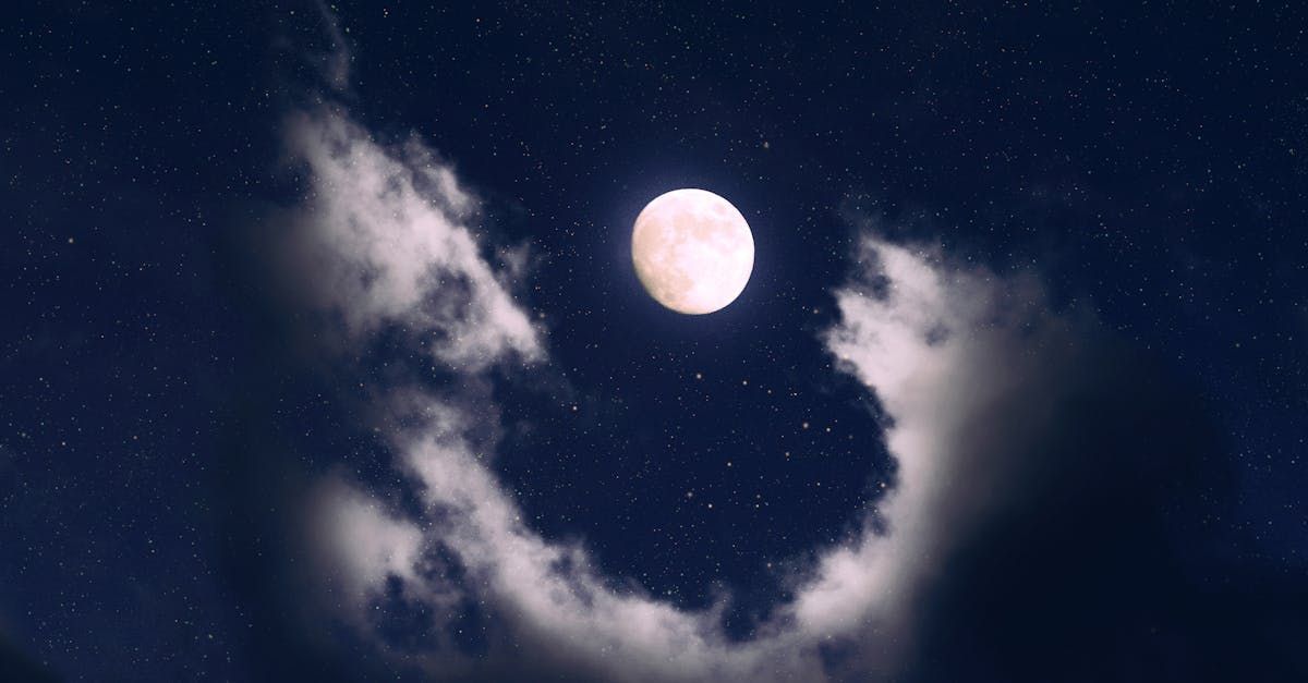 Welcome August - A Poem by Sue Cartwright, Spiral Leaf