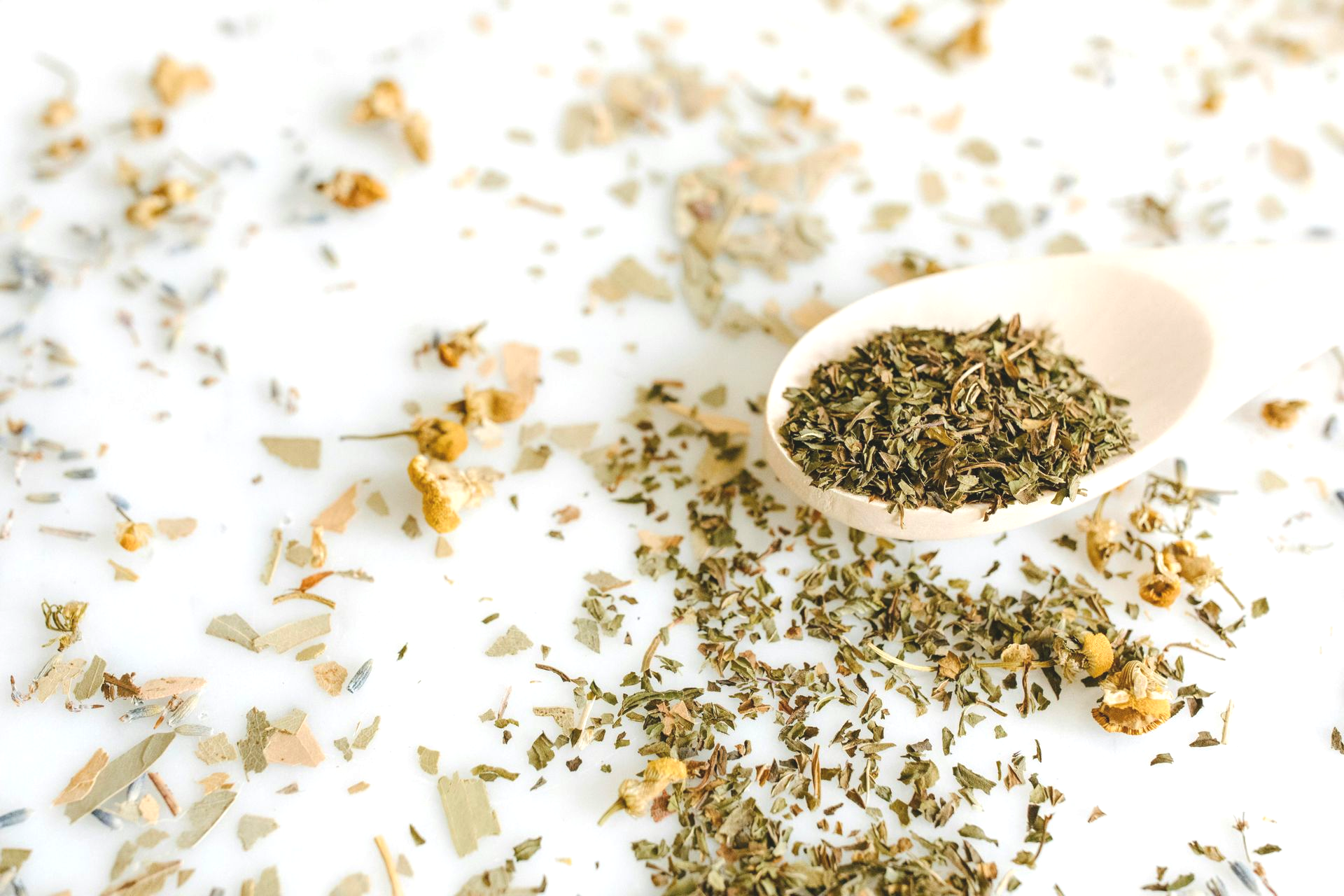 A Healing Herb (Chamomile) by Sue Cartwright, Spiral Leaf A Healing Herb (Chamomile) by Sue Cartwright, Spiral Leaf