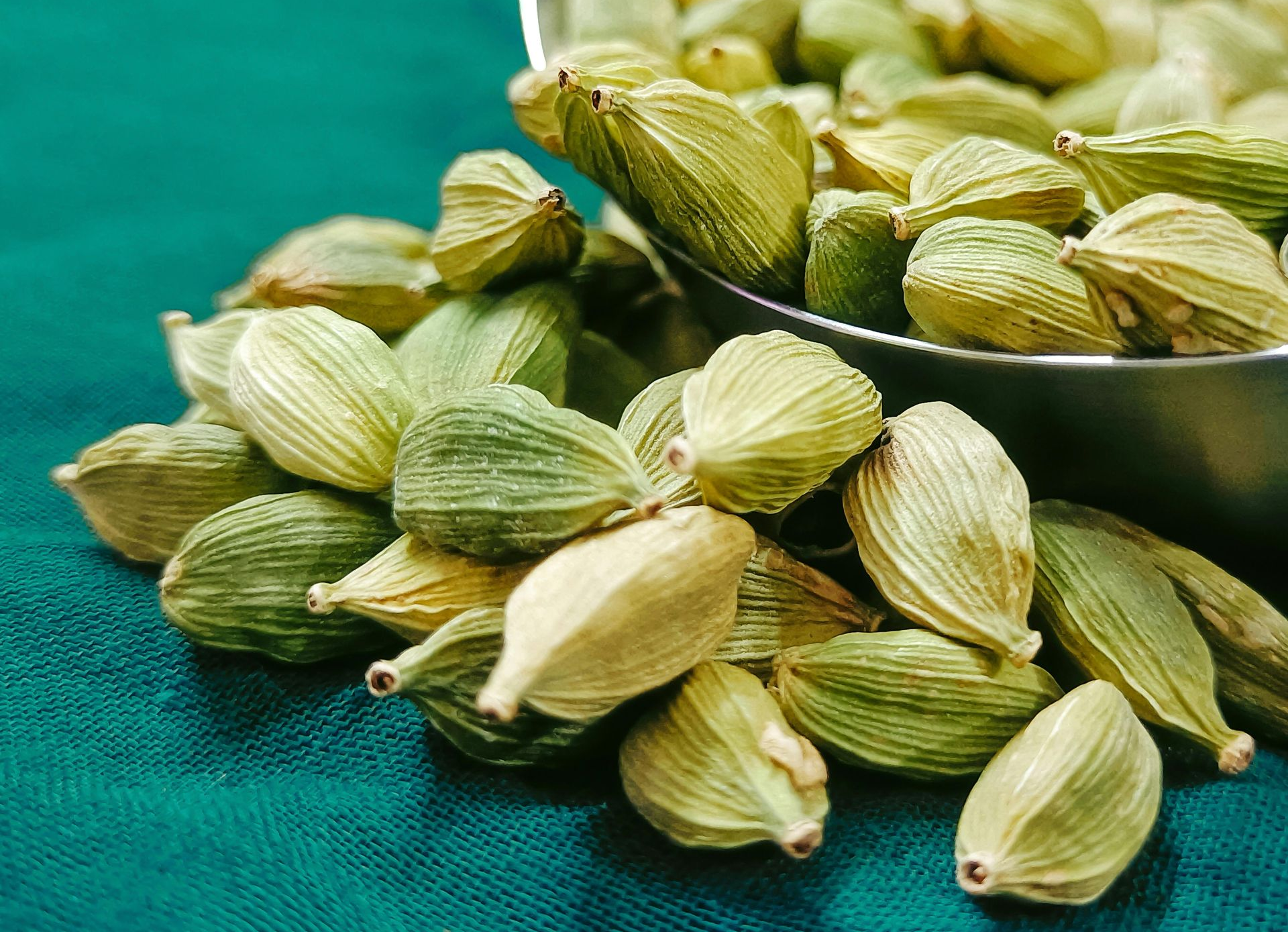 A Healing Spice (Cardamom) by Sue Cartwright, Spiral Leaf
