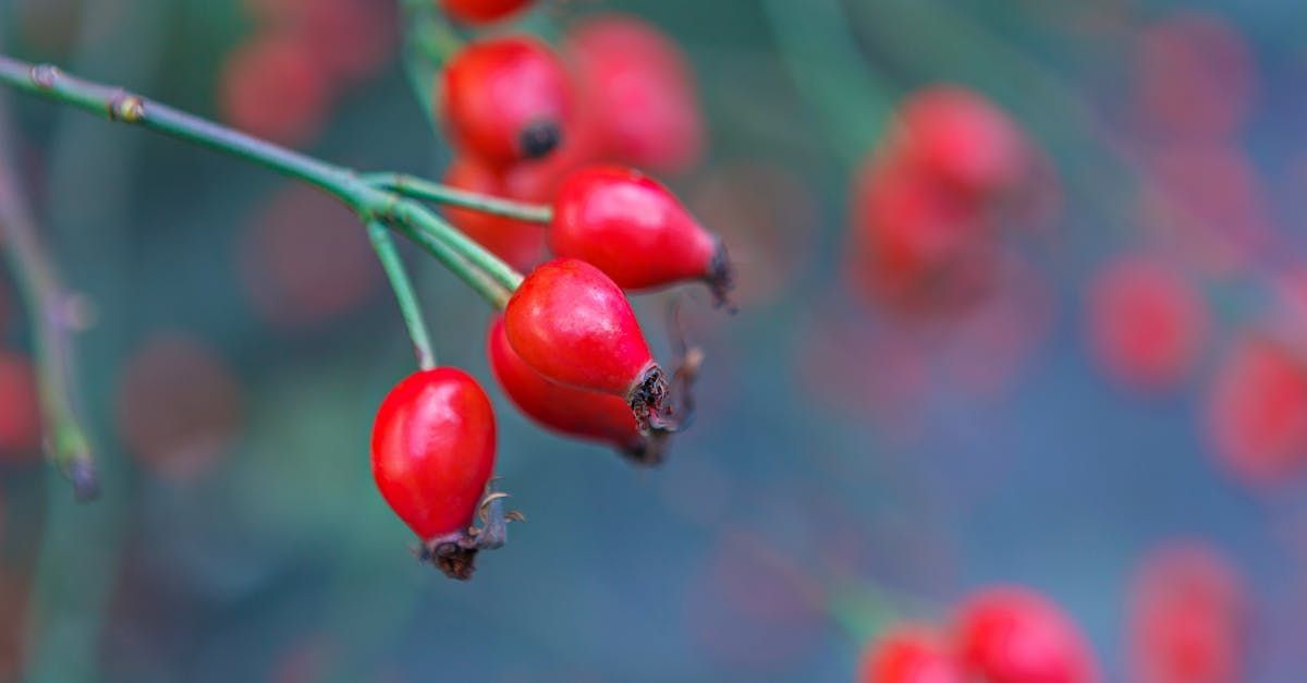 Welcome September (Almanac 2024) by Sue Cartwright, Spiral Leaf