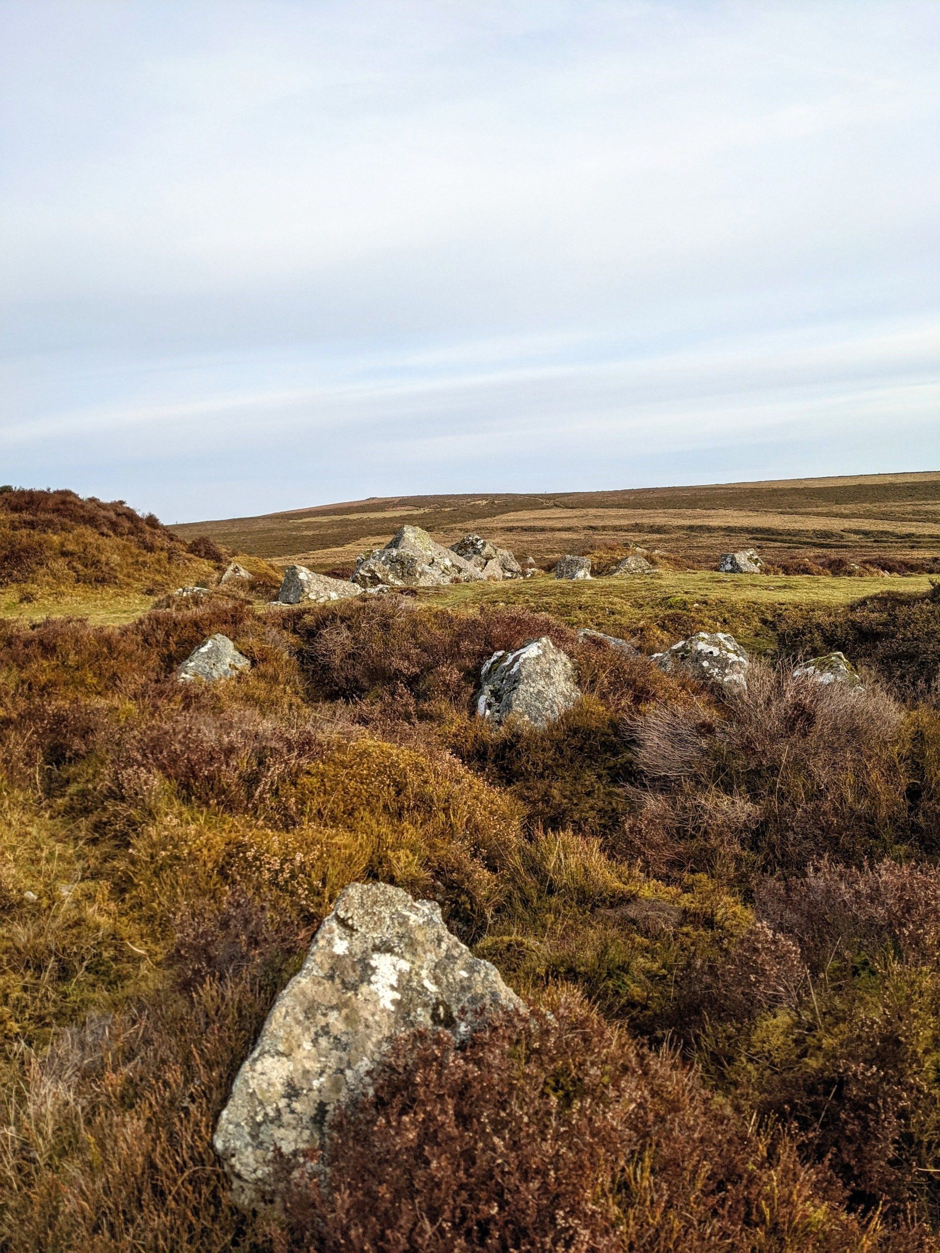 Moorland Gallery - Photograph by Sue Cartwright, Spiral Leaf