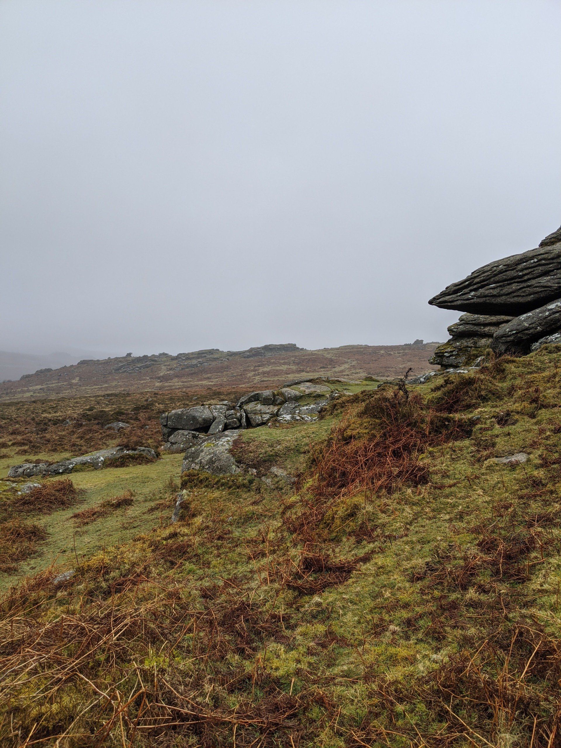 Moorland Gallery - Photograph by Sue Cartwright, Spiral Leaf