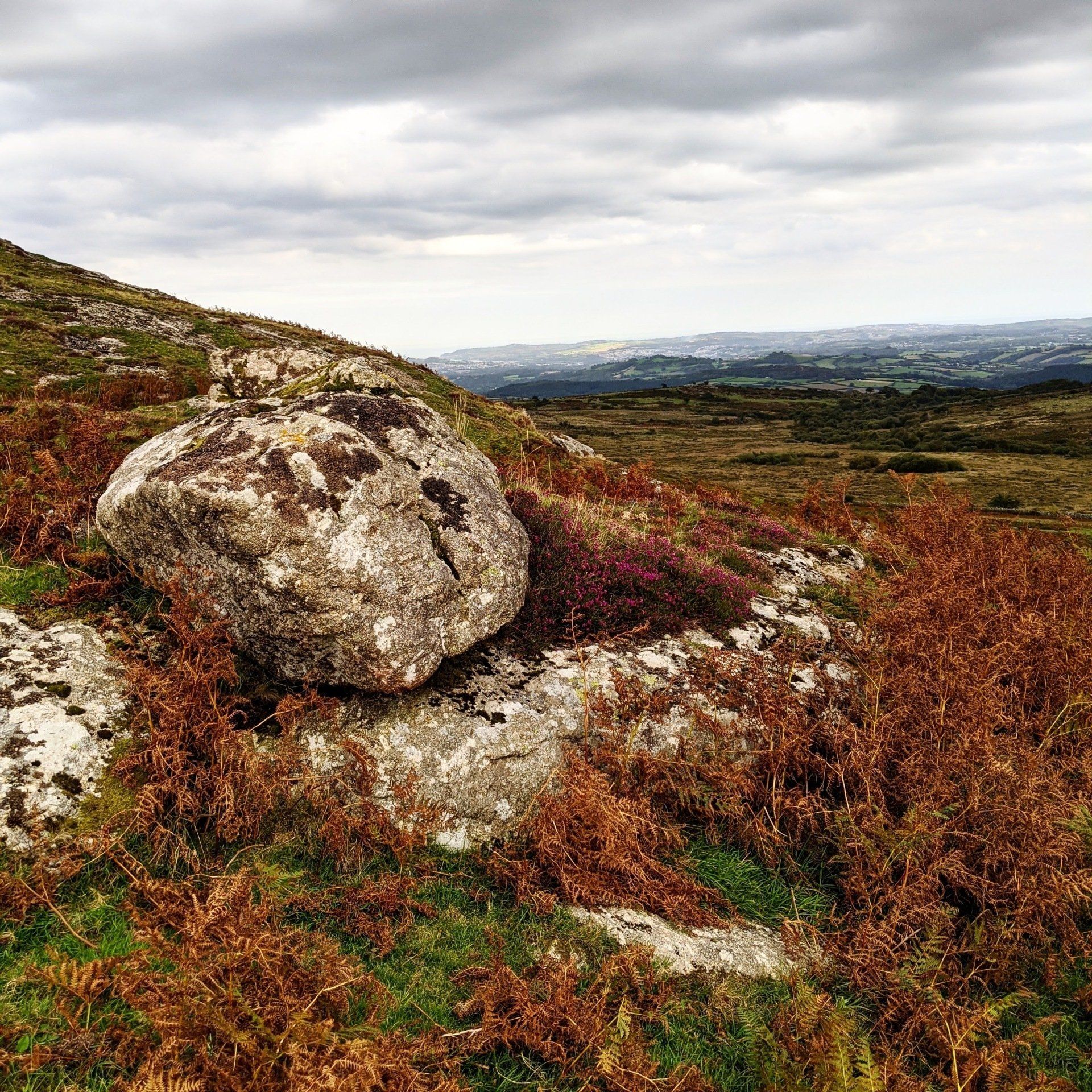 Moorland Gallery - Photograph by Sue Cartwright, Spiral Leaf