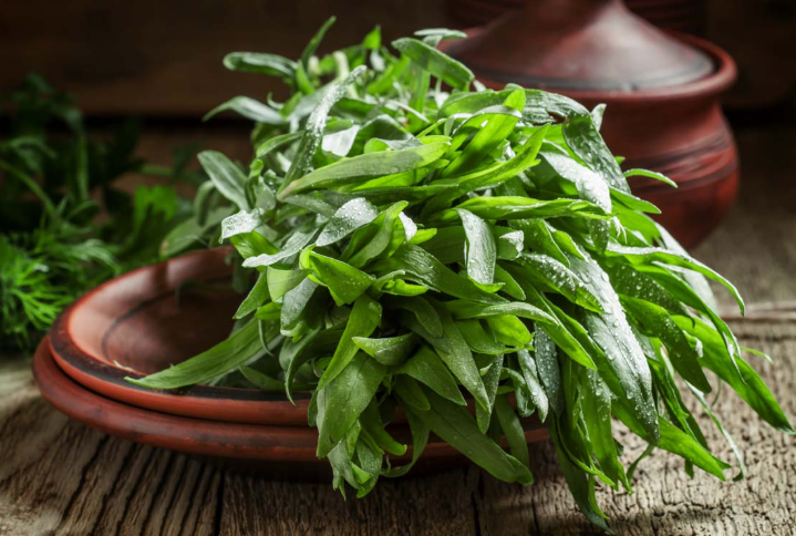 A Healing Herb (Tarragon) by Sue Cartwright, Spiral Leaf