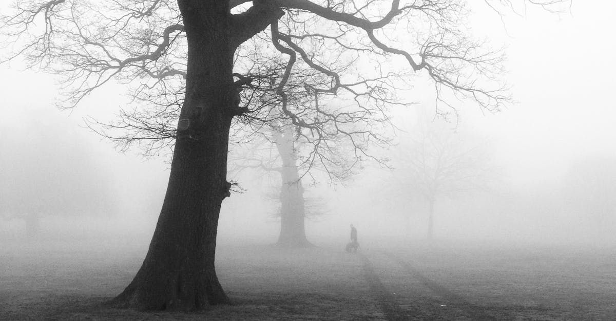 Welcome November - A Poem by Sue Cartwright, Spiral Leaf