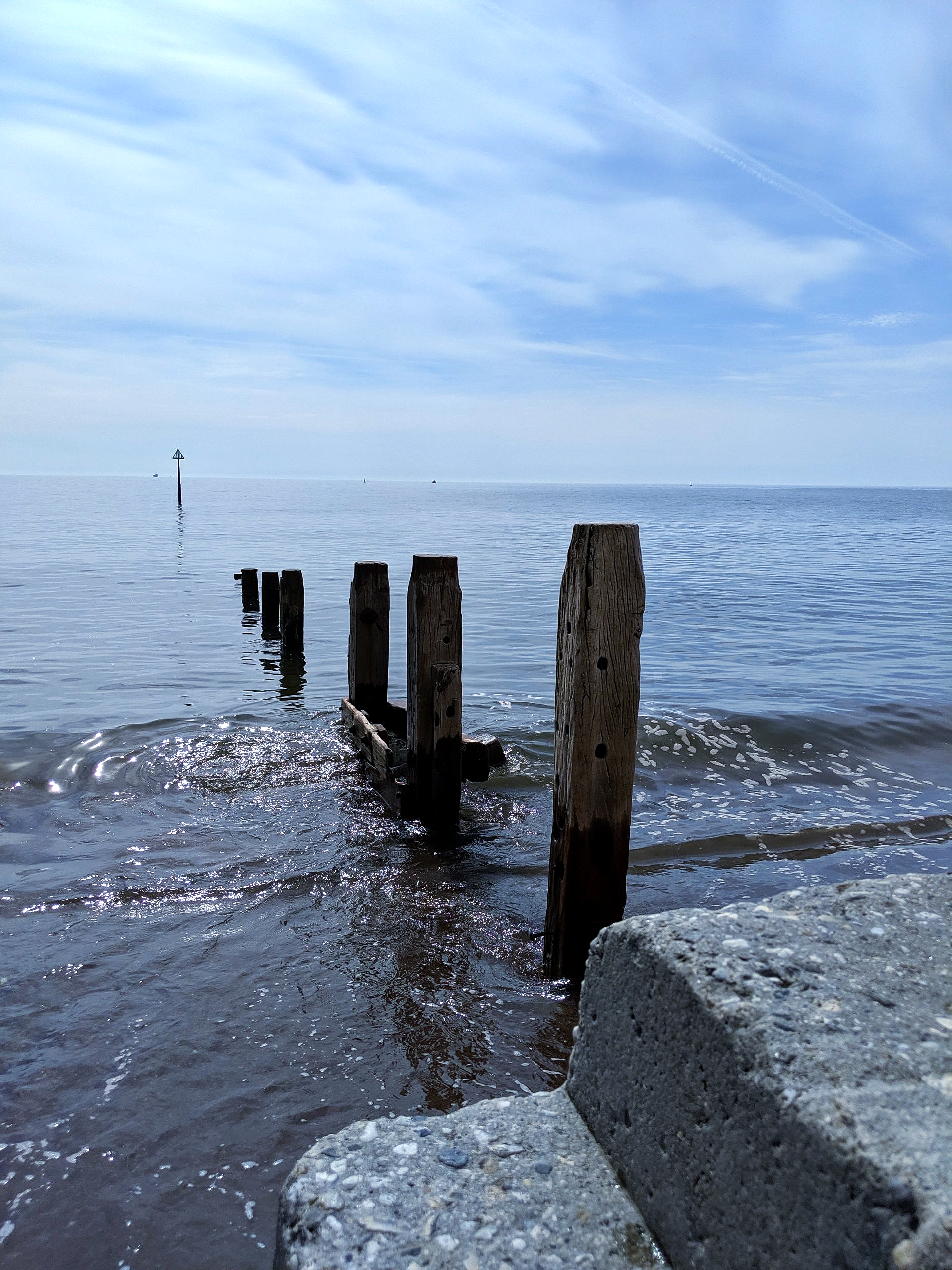 Seaside Gallery by Sue Cartwright, Spiral Leaf