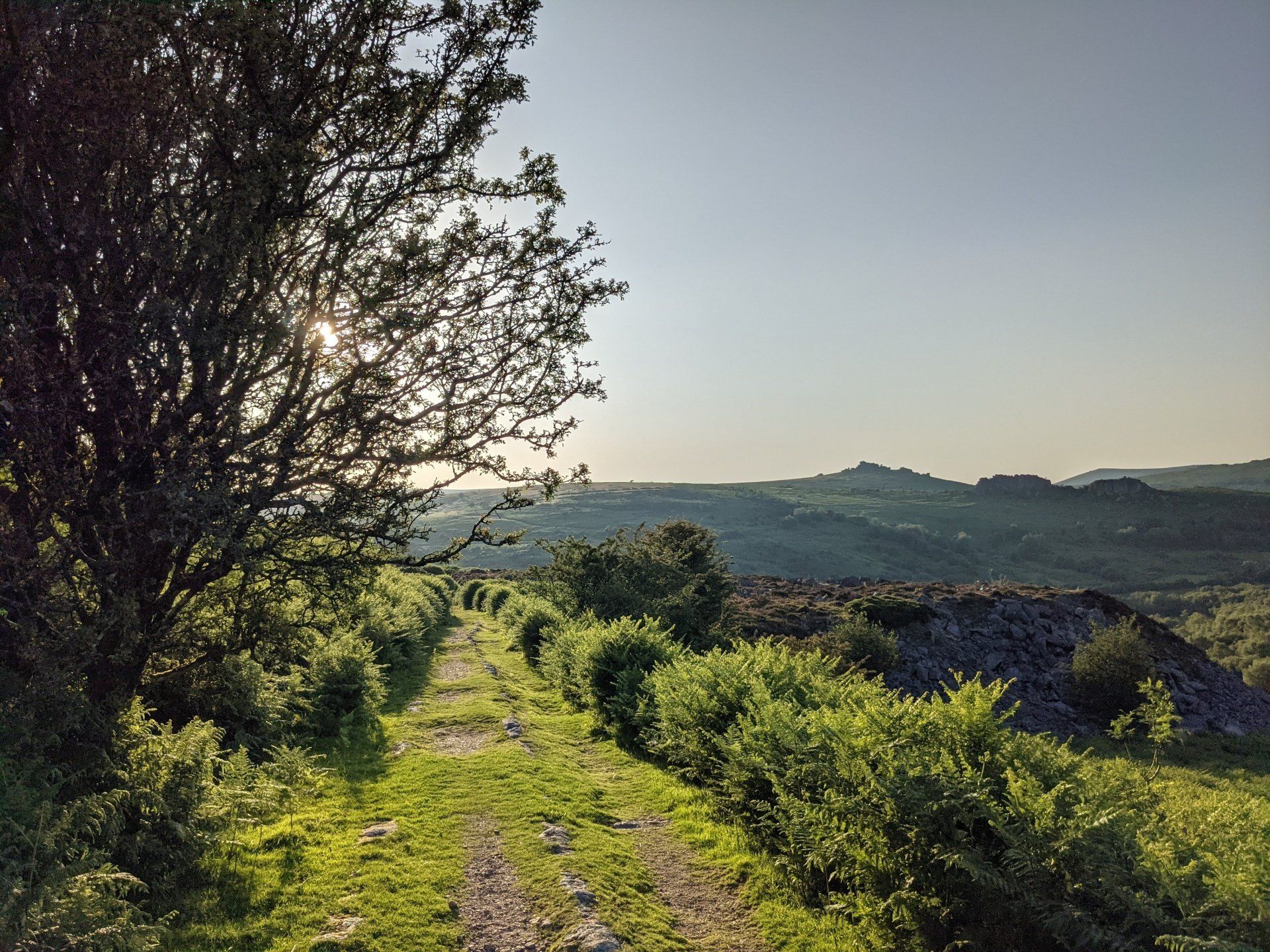 Moorland Gallery by Sue Cartwright, Spiral Leaf