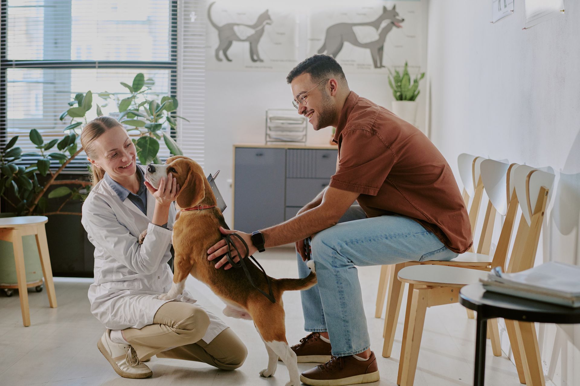 Veterinarian playing with happy dog in modern clinic, bonding during pet care visit.