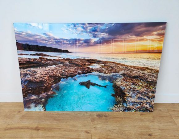 A Shark is Swimming in a Pool of Water — Gold Coast Printing & Framing in Burleigh Heads, QLD
