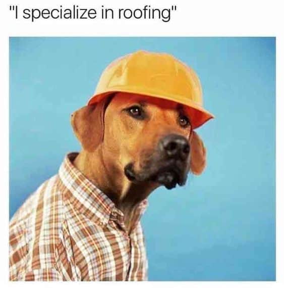 roofer dog meme