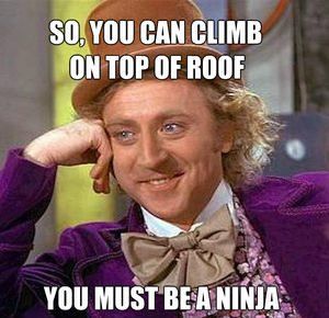 roofer meme