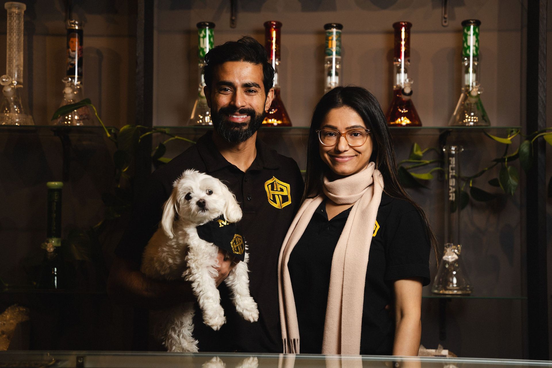 A man and woman in black shirts hold a small white dog in front of a shelf displaying various glass smoking pipes.