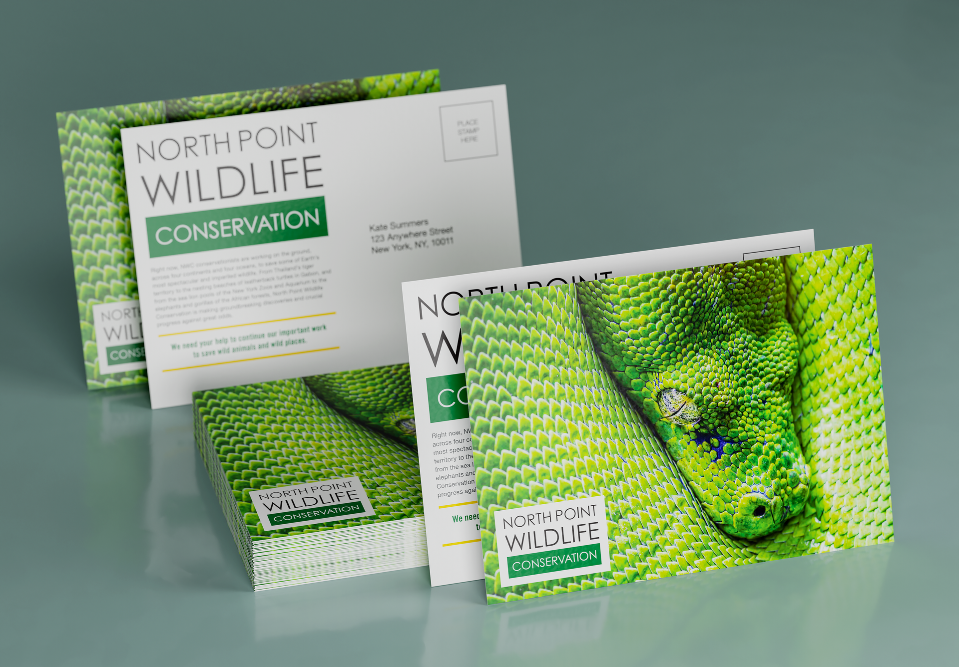 A stack of postcards for north point wildlife conservation