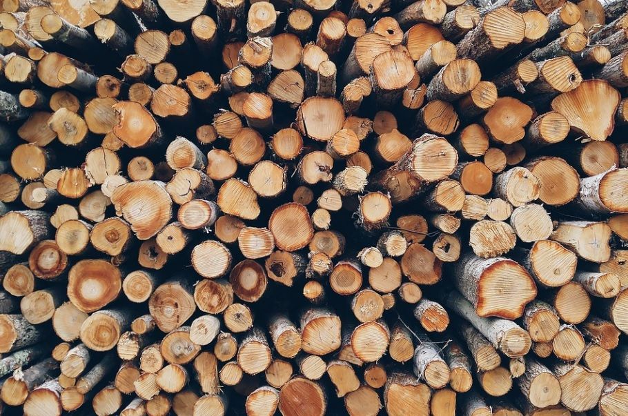 Stacked cut logs showing circular wood ends in brown, tan, and gray tones.