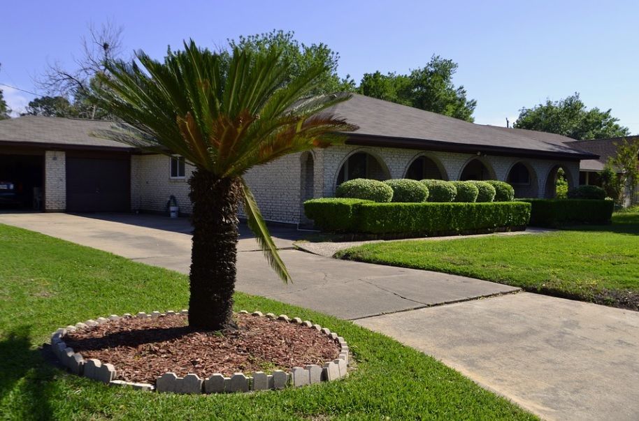 Suburban house with a palm tree in the front yard and a curved driveway