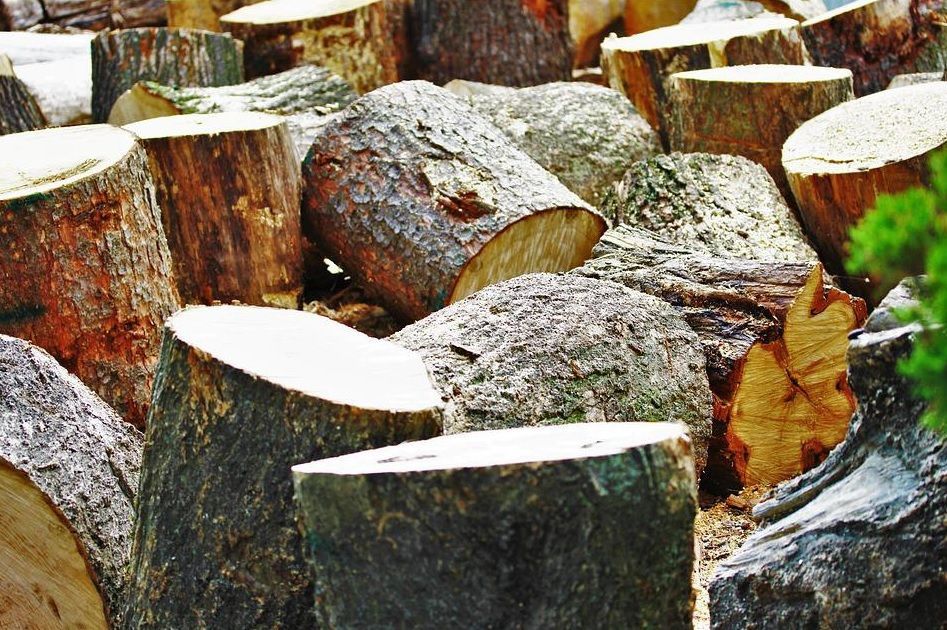 Stacked cut tree logs with wet bark and a single brown leaf in the foreground