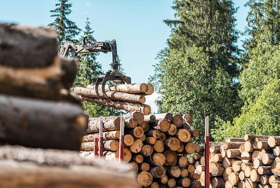 Logging crane loading cut logs in a forest beside stacked timber piles.